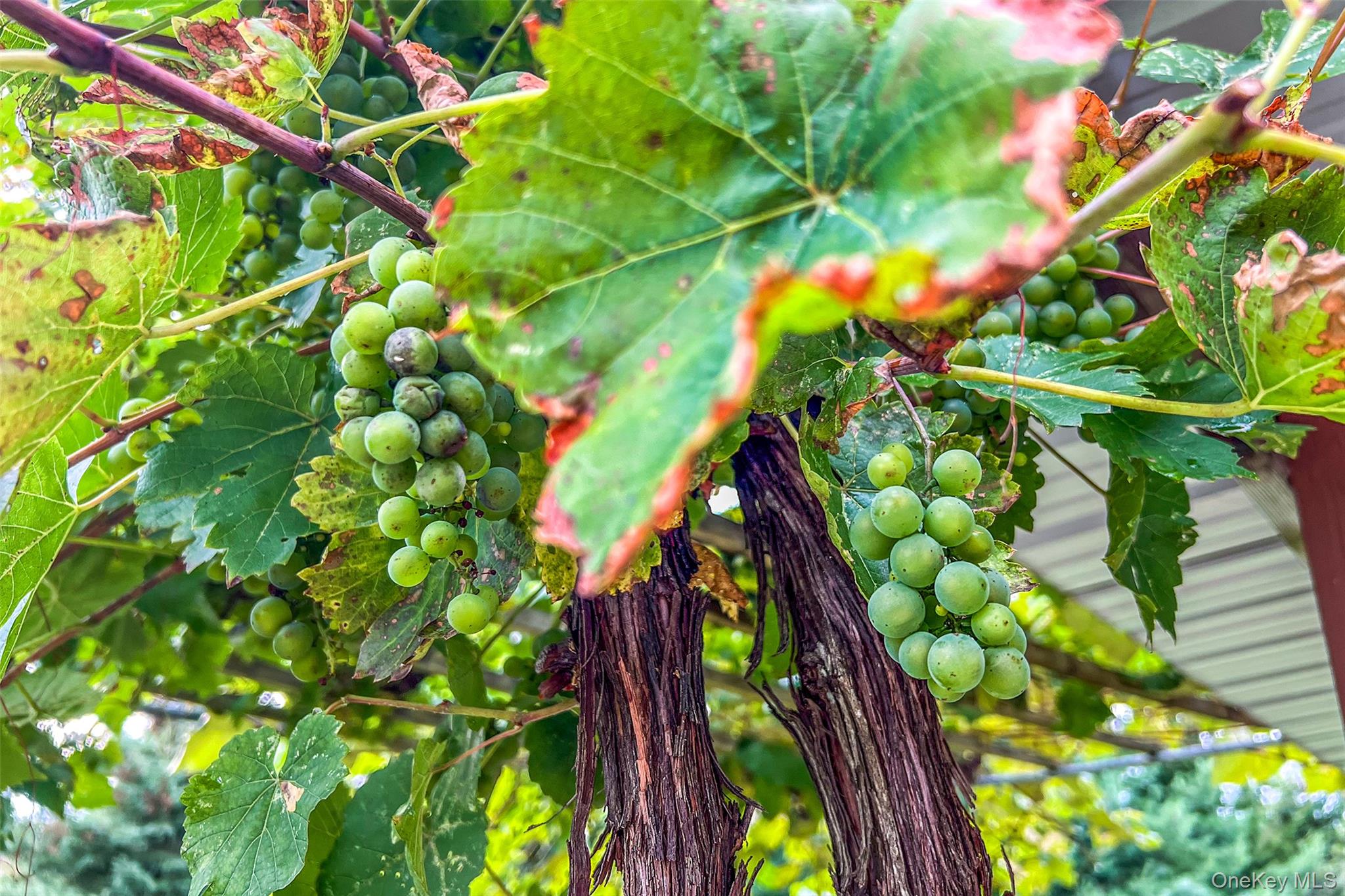 936 Potter Mountain Road, Gilboa, NY 12076