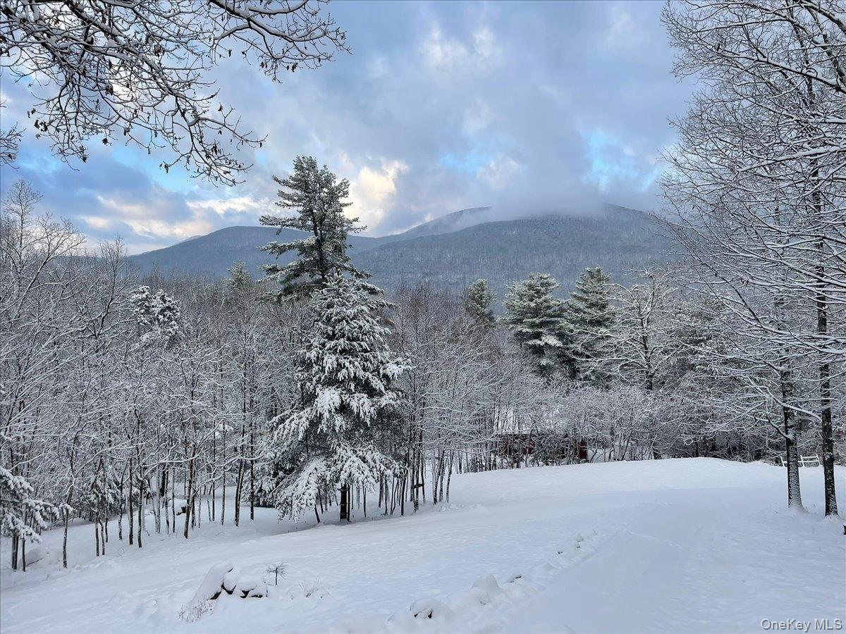 26 Carle Road, Mount Tremper, NY 12457