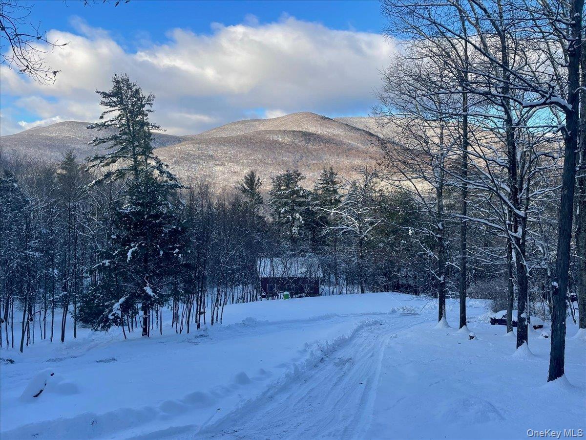 26 Carle Road, Mount Tremper, NY 12457