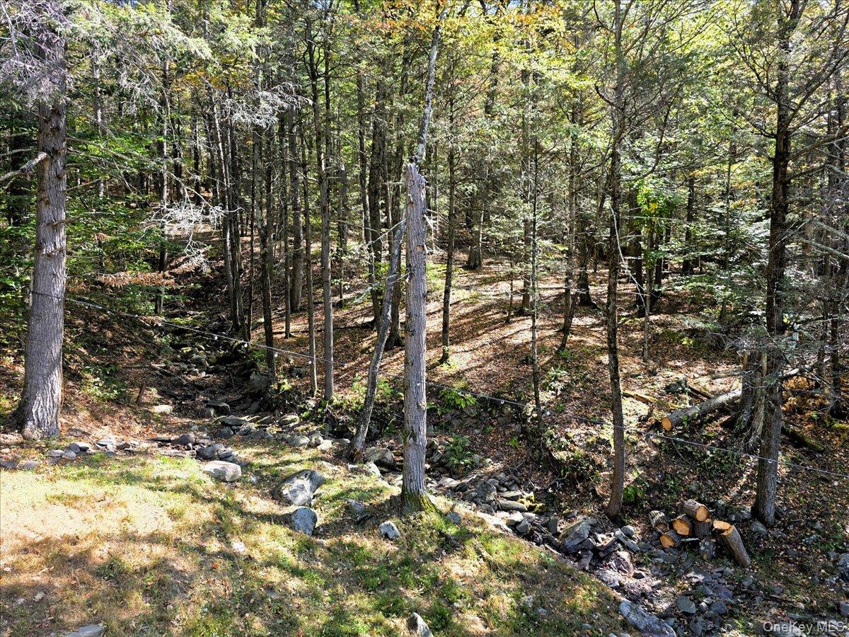 26 Carle Road, Mount Tremper, NY 12457