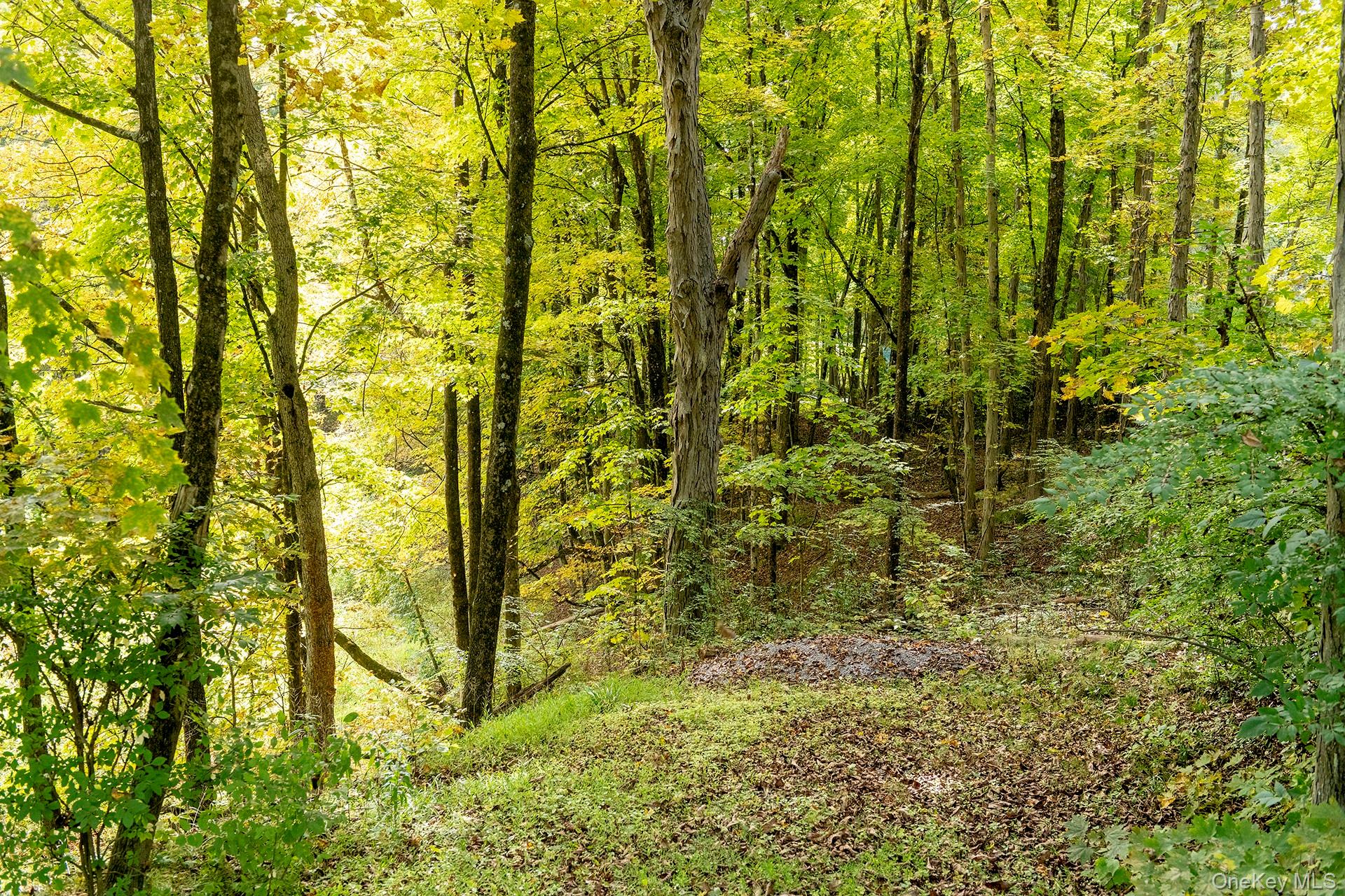 28 Clinton Corners Road, Salt Point, NY 12578