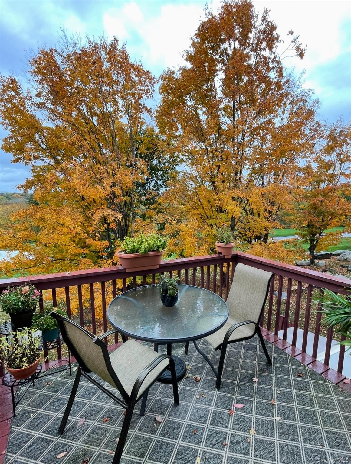 204 Williamsburg Drive, Mahopac, NY 10541