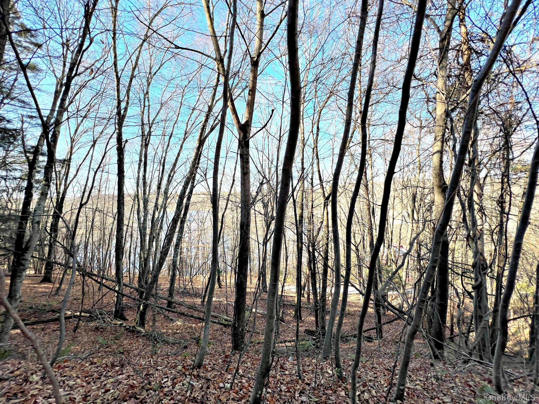 65 Patricia Lane, Clinton Corners, NY 12514