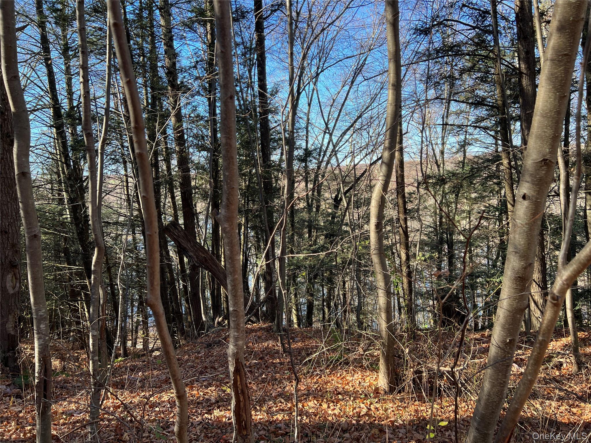 65 Patricia Lane, Clinton Corners, NY 12514