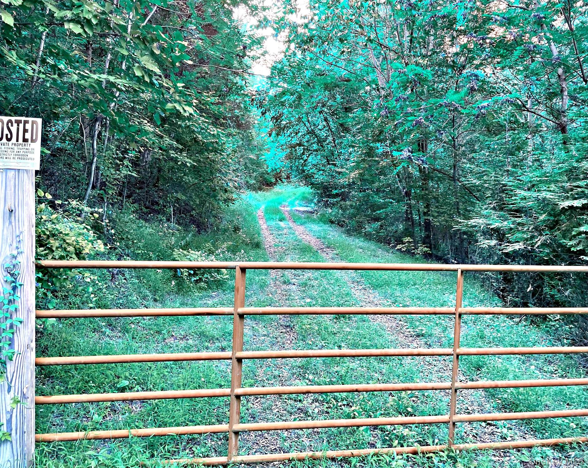 65 Patricia Lane, Clinton Corners, NY 12514