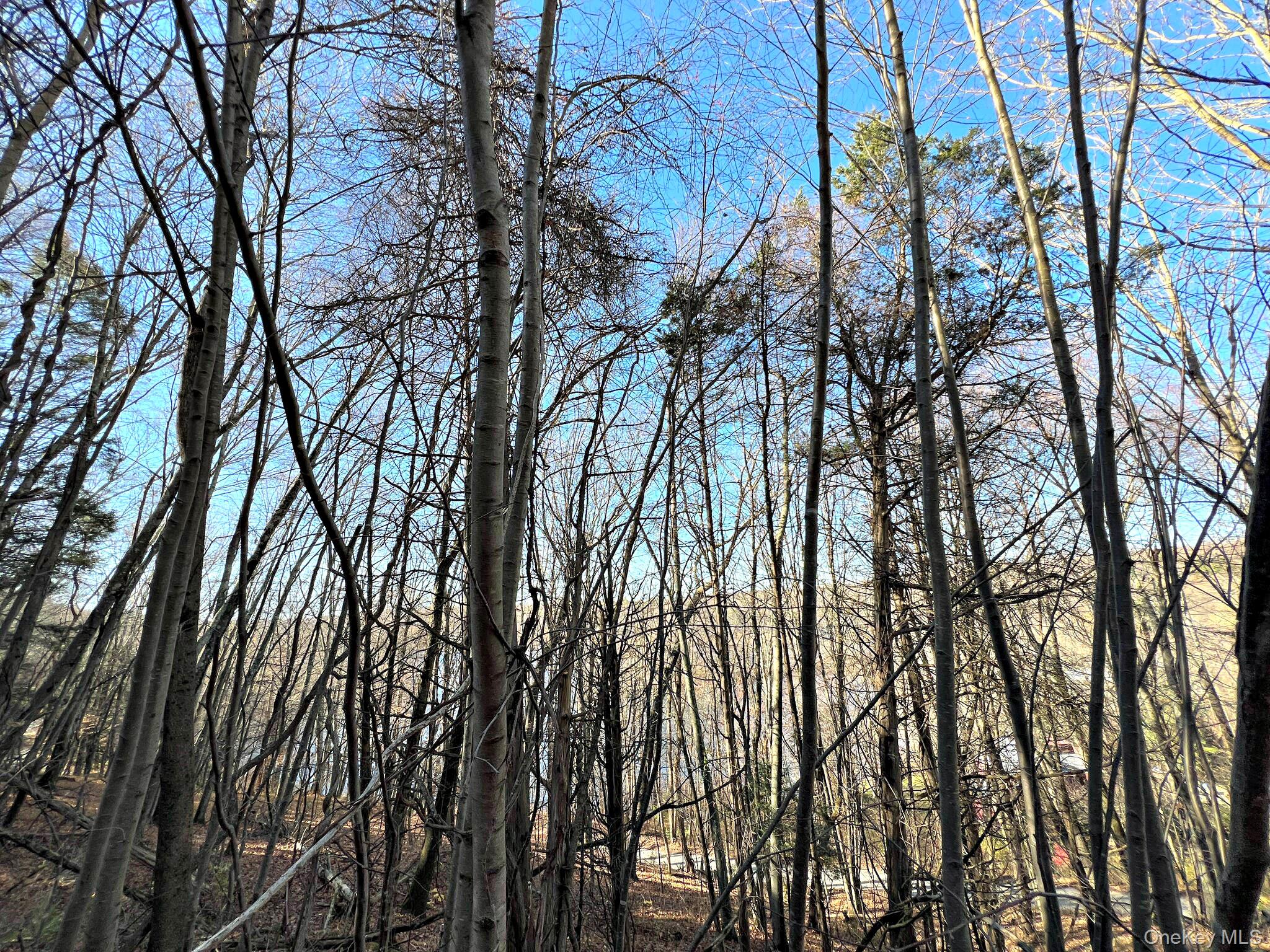 65 Patricia Lane, Clinton Corners, NY 12514