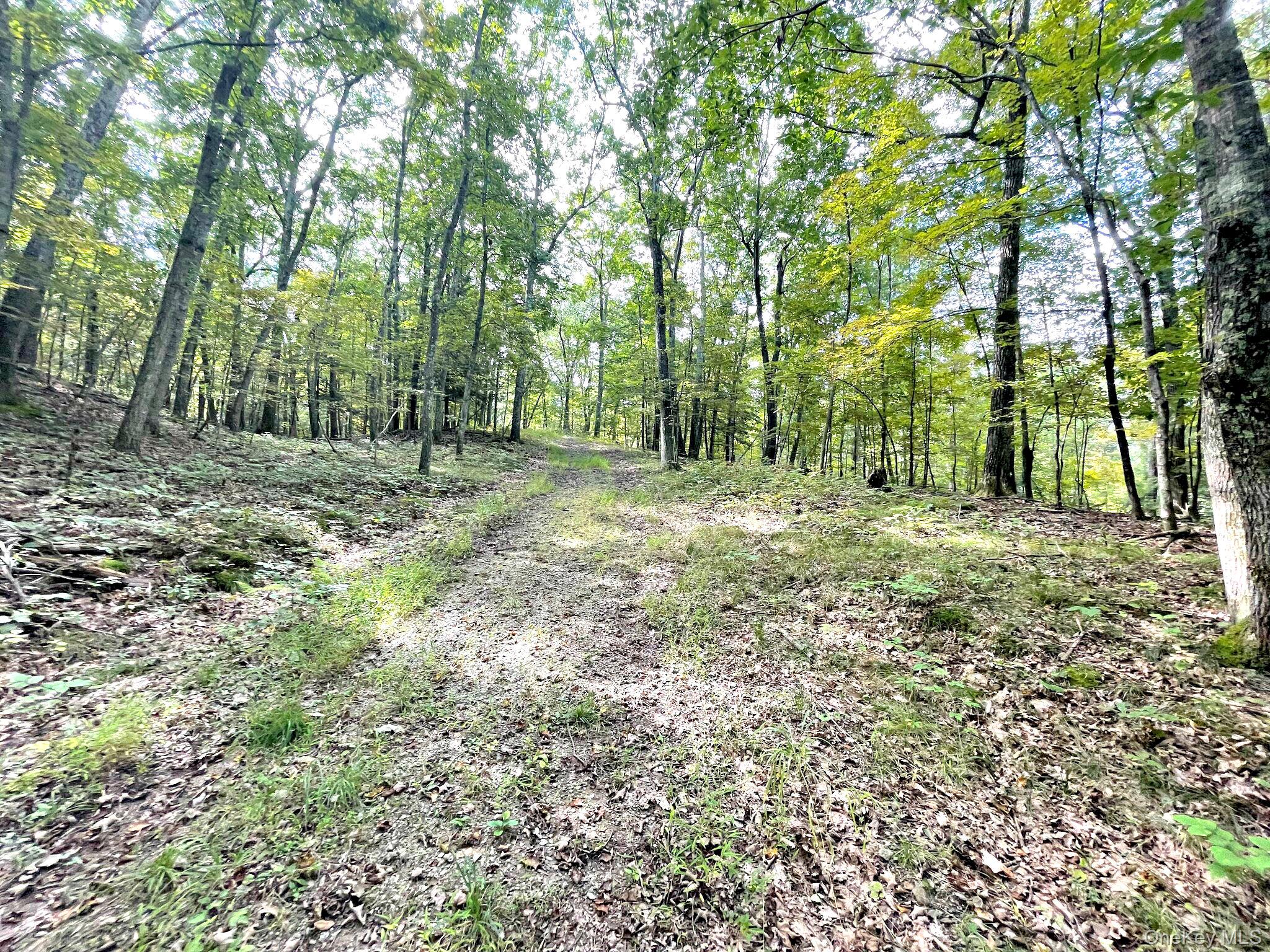 65 Patricia Lane, Clinton Corners, NY 12514