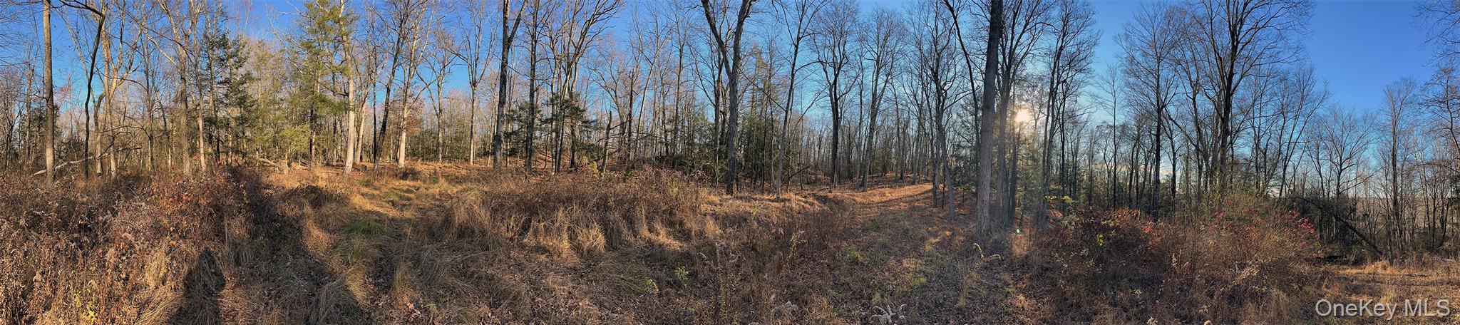 65 Patricia Lane, Clinton Corners, NY 12514