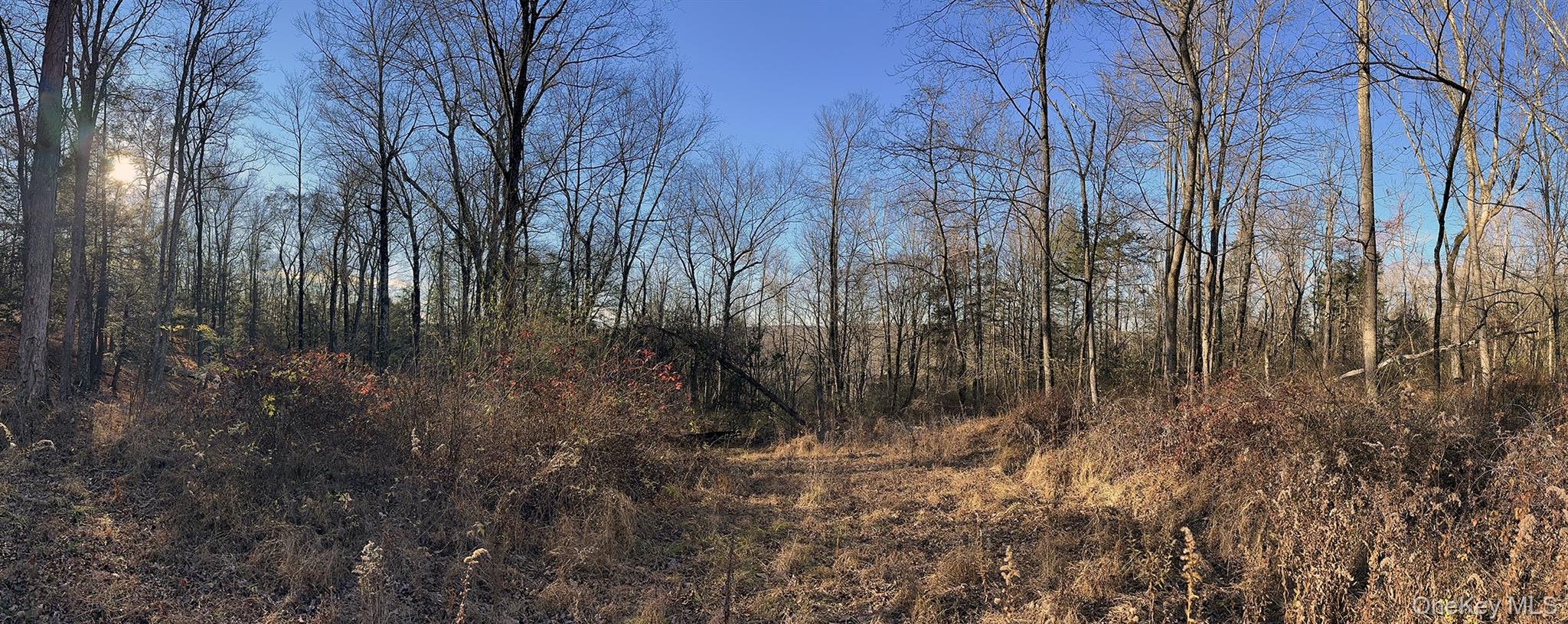 65 Patricia Lane, Clinton Corners, NY 12514