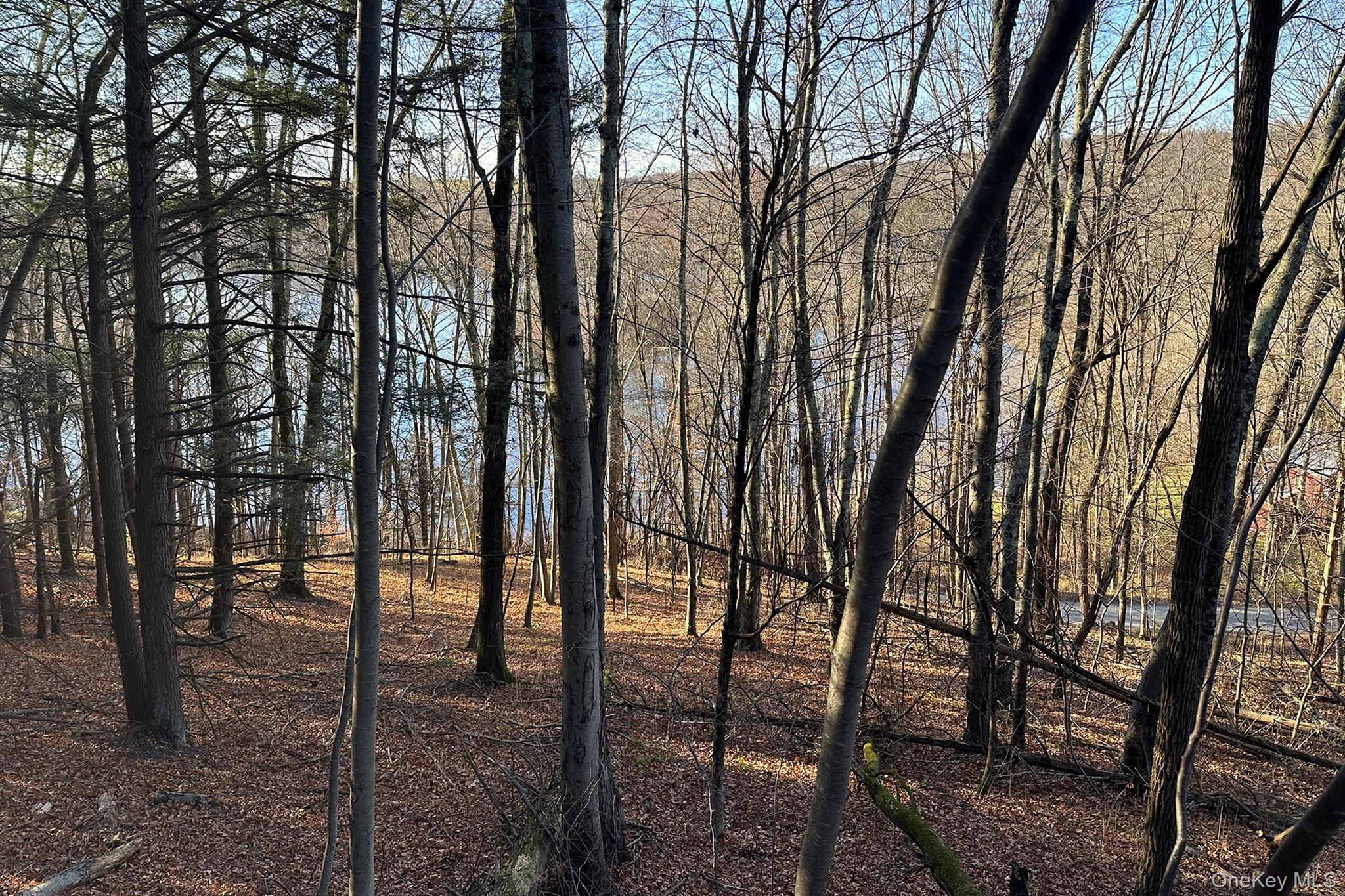 65 Patricia Lane, Clinton Corners, NY 12514