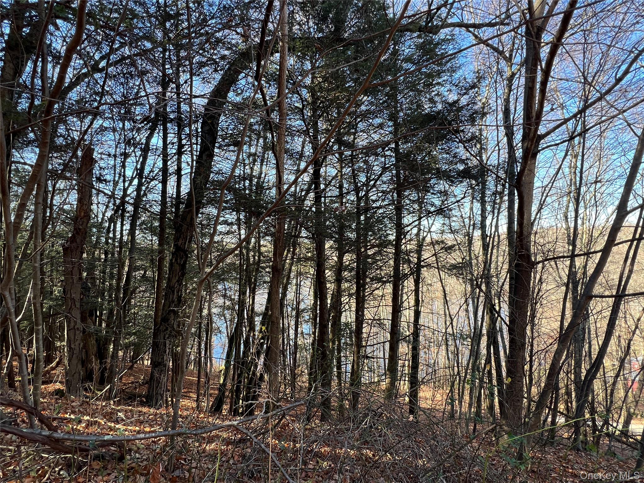 65 Patricia Lane, Clinton Corners, NY 12514