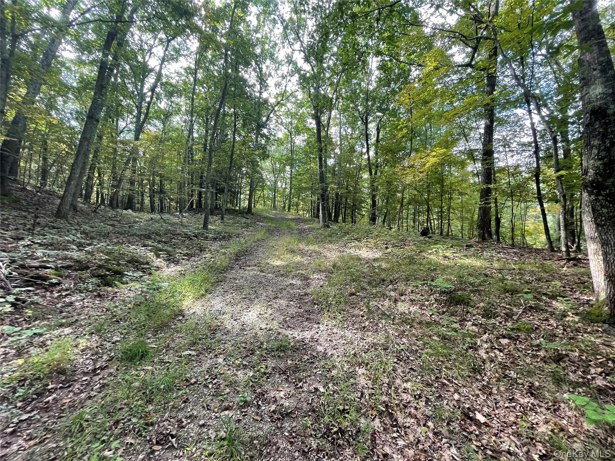 65 Patricia Lane, Clinton Corners, NY 12514