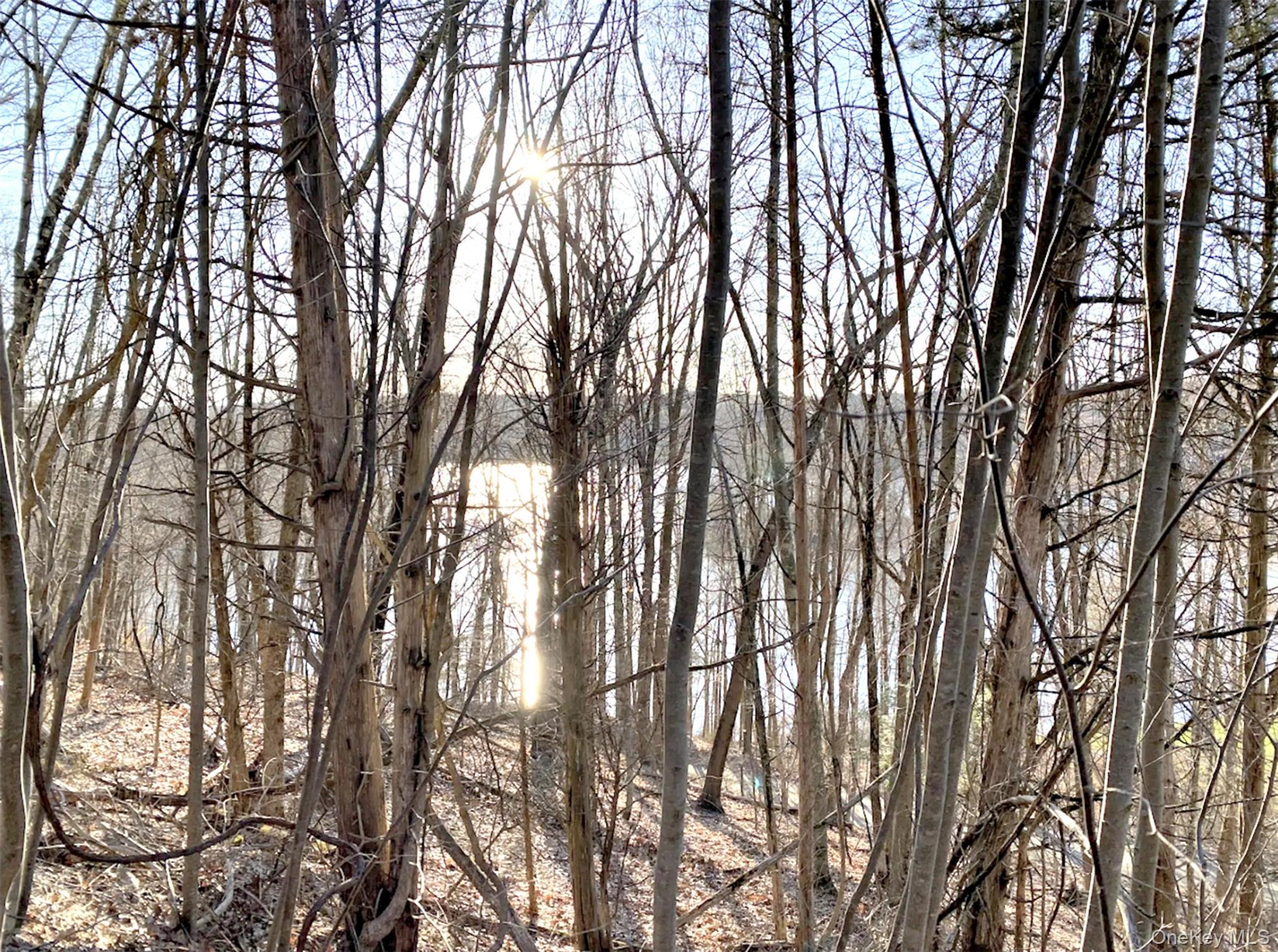 65 Patricia Lane, Clinton Corners, NY 12514