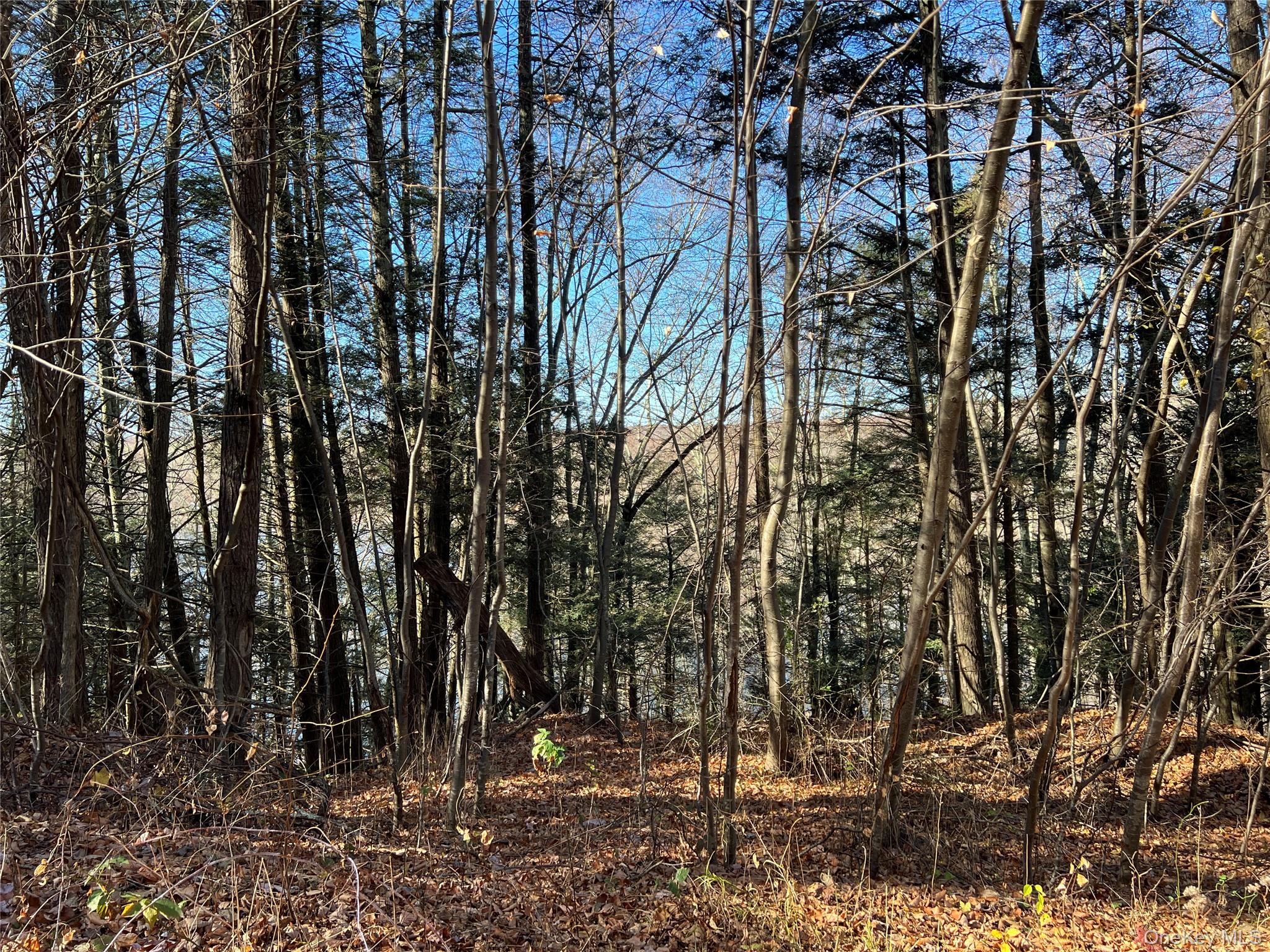 65 Patricia Lane, Clinton Corners, NY 12514