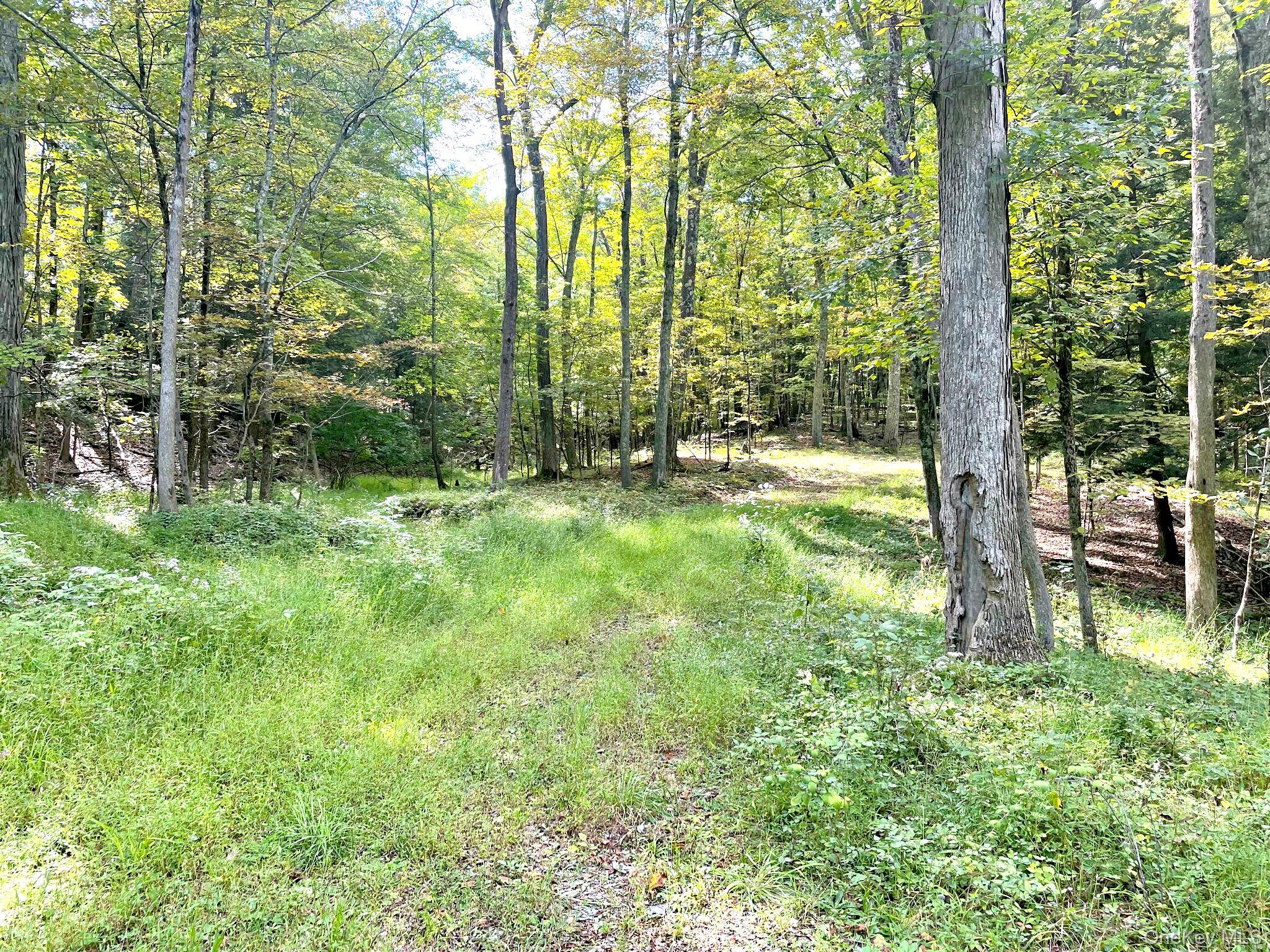 65 Patricia Lane, Clinton Corners, NY 12514