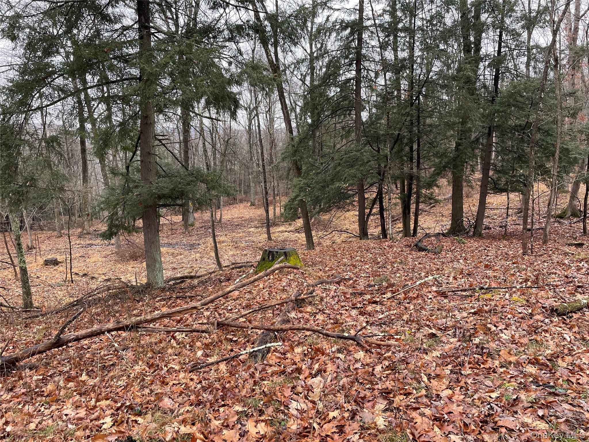 65 Patricia Lane, Clinton Corners, NY 12514