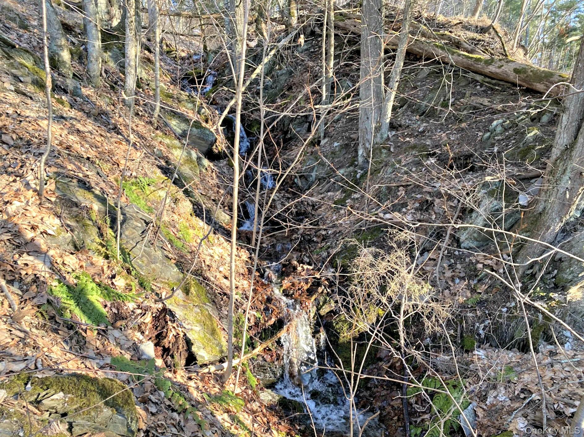 65 Patricia Lane, Clinton Corners, NY 12514