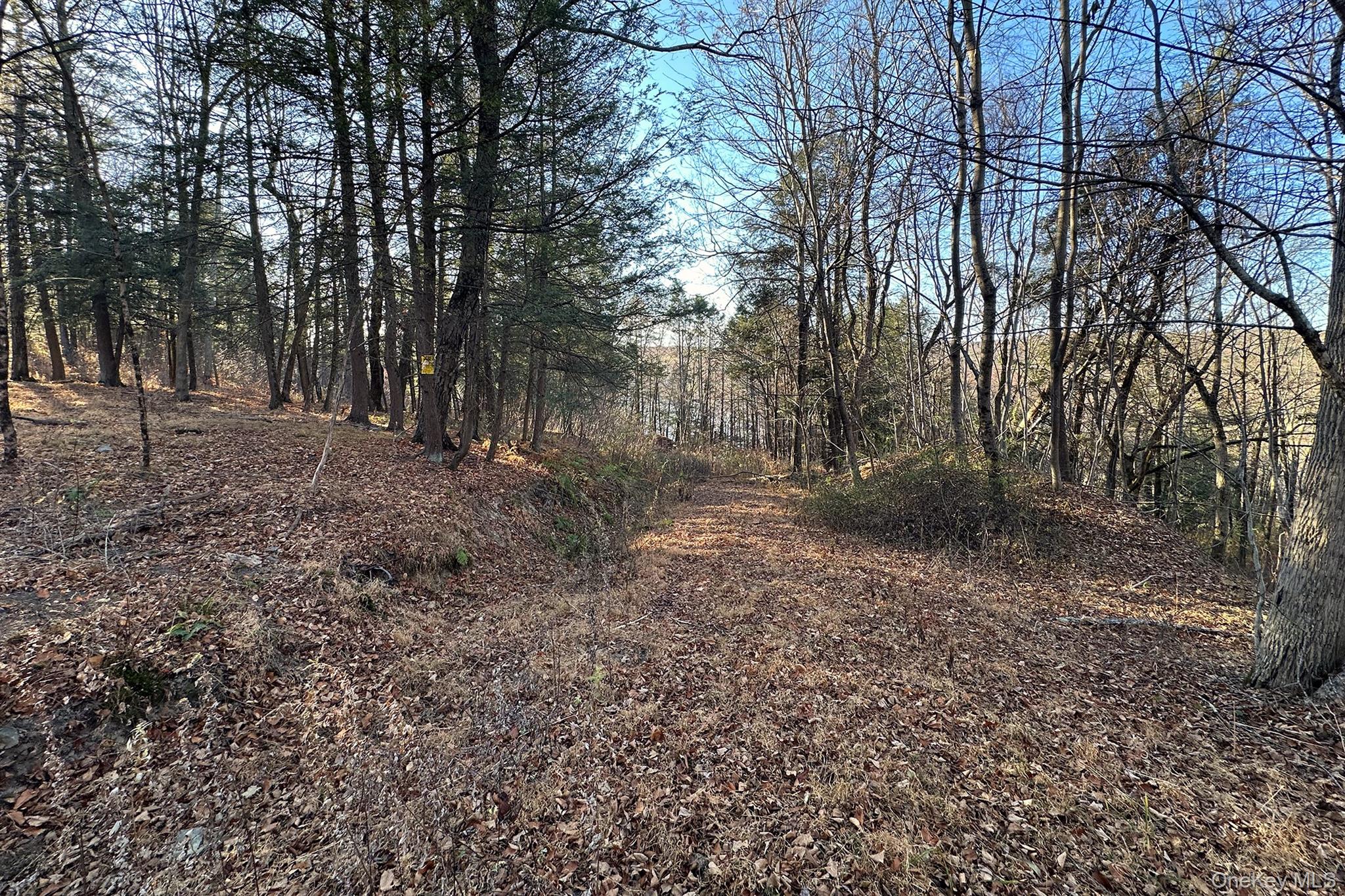 65 Patricia Lane, Clinton Corners, NY 12514