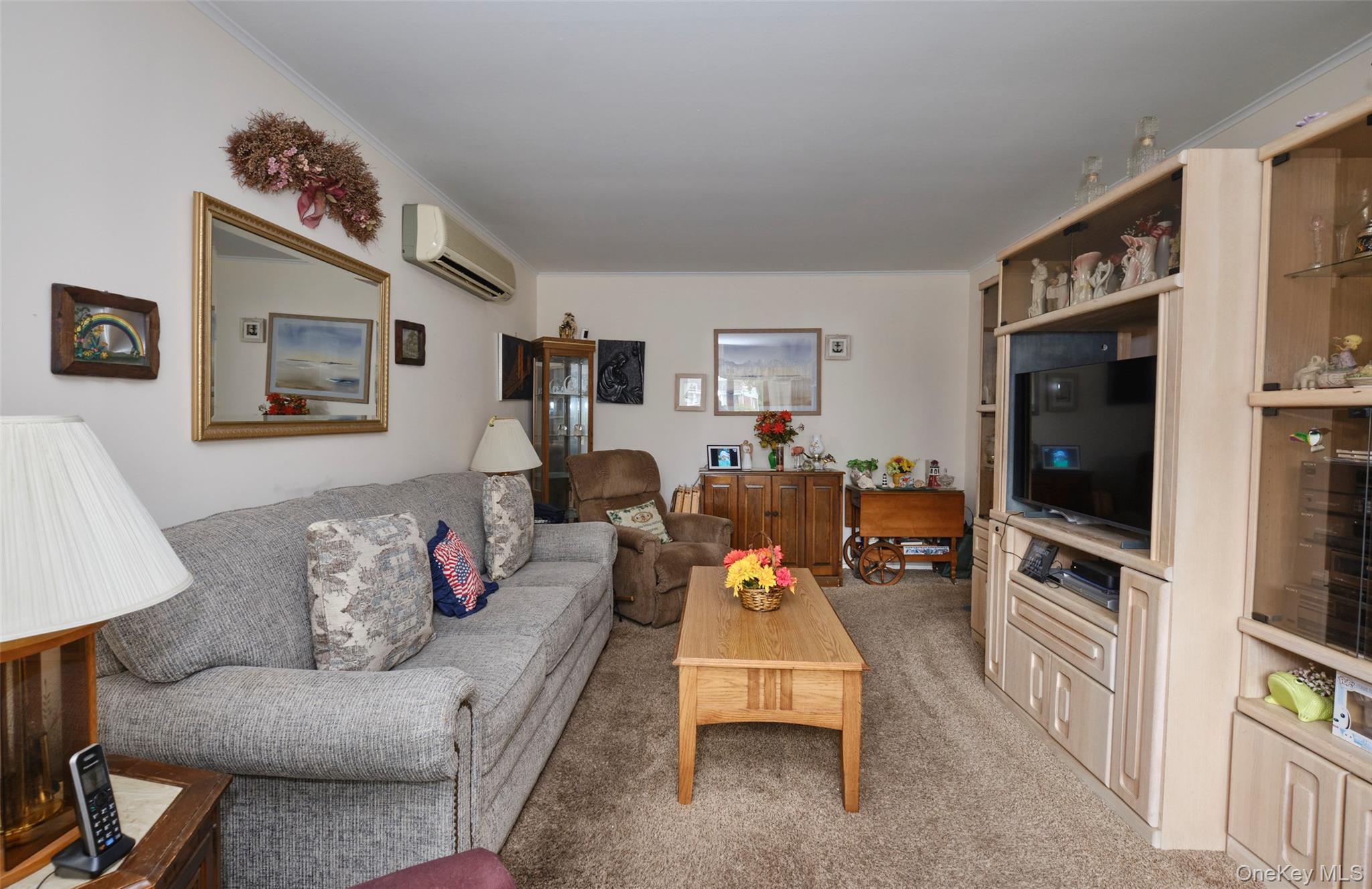 911 Covert Avenue, New Hyde Park, NY 11040