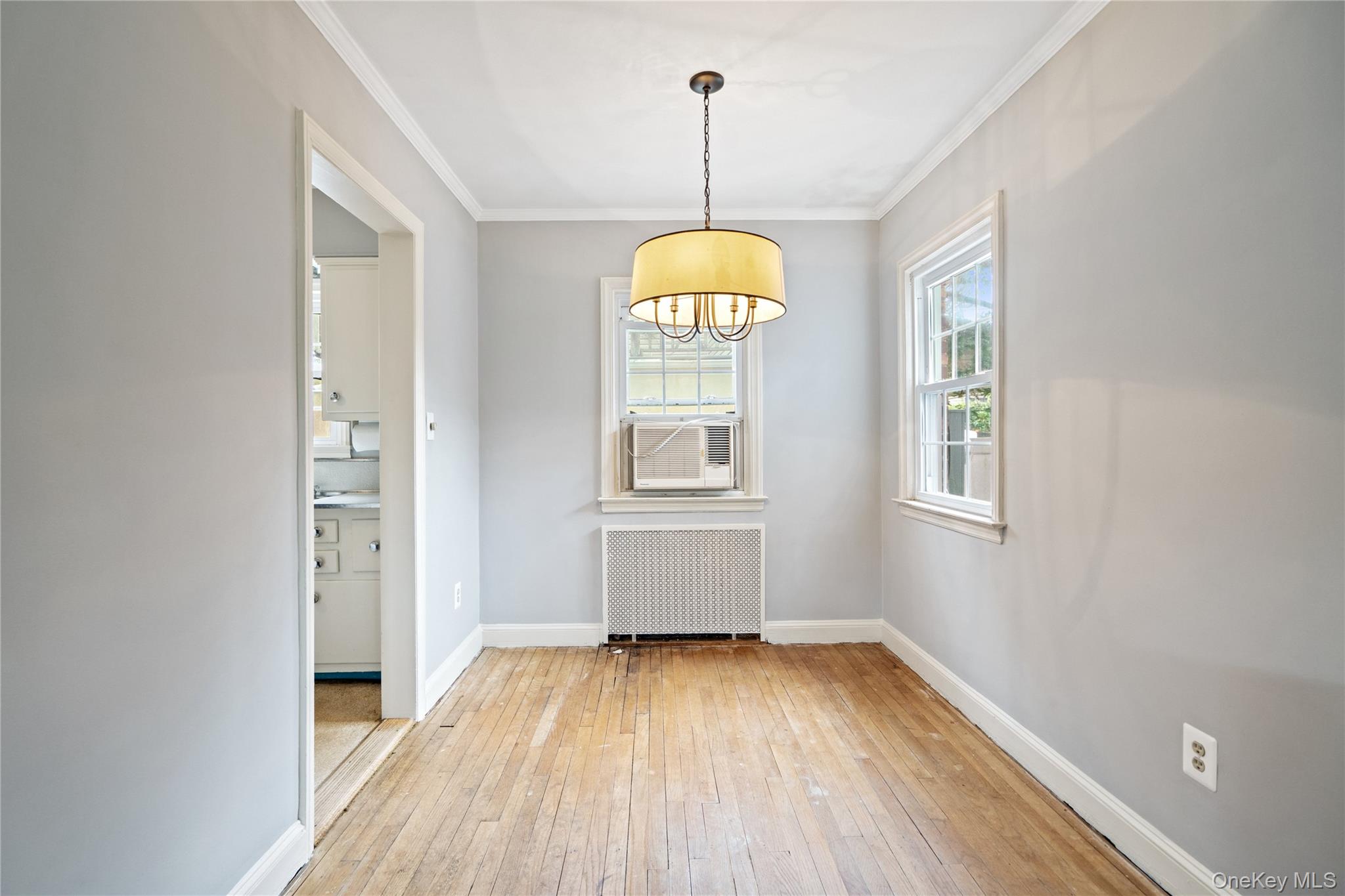 28 Redwood Road, New Hyde Park, NY 11040