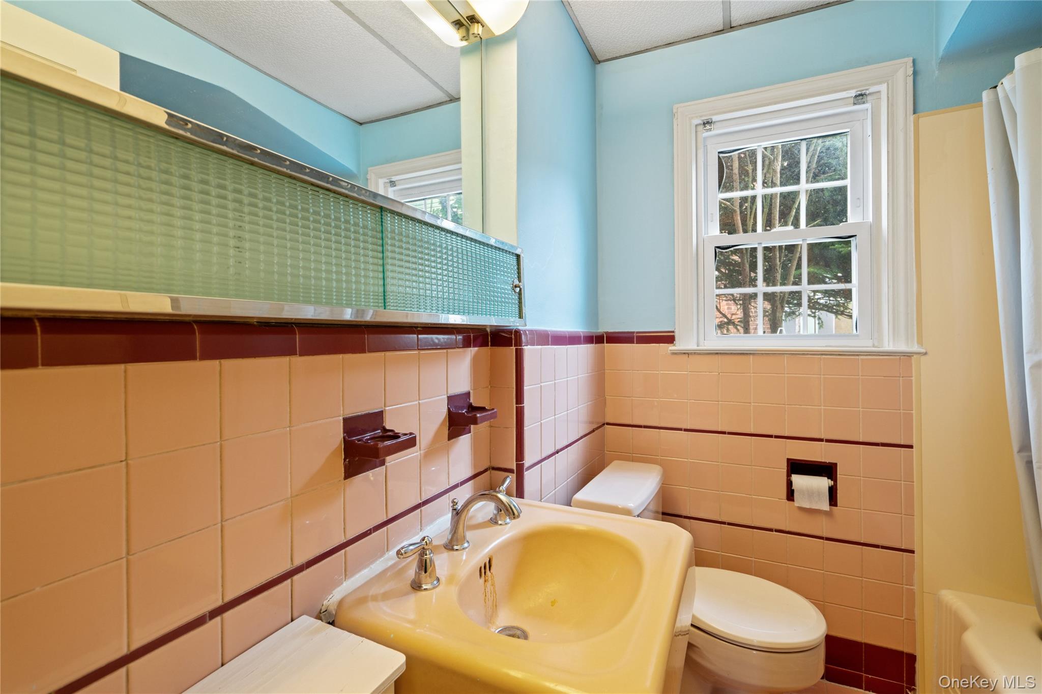 28 Redwood Road, New Hyde Park, NY 11040