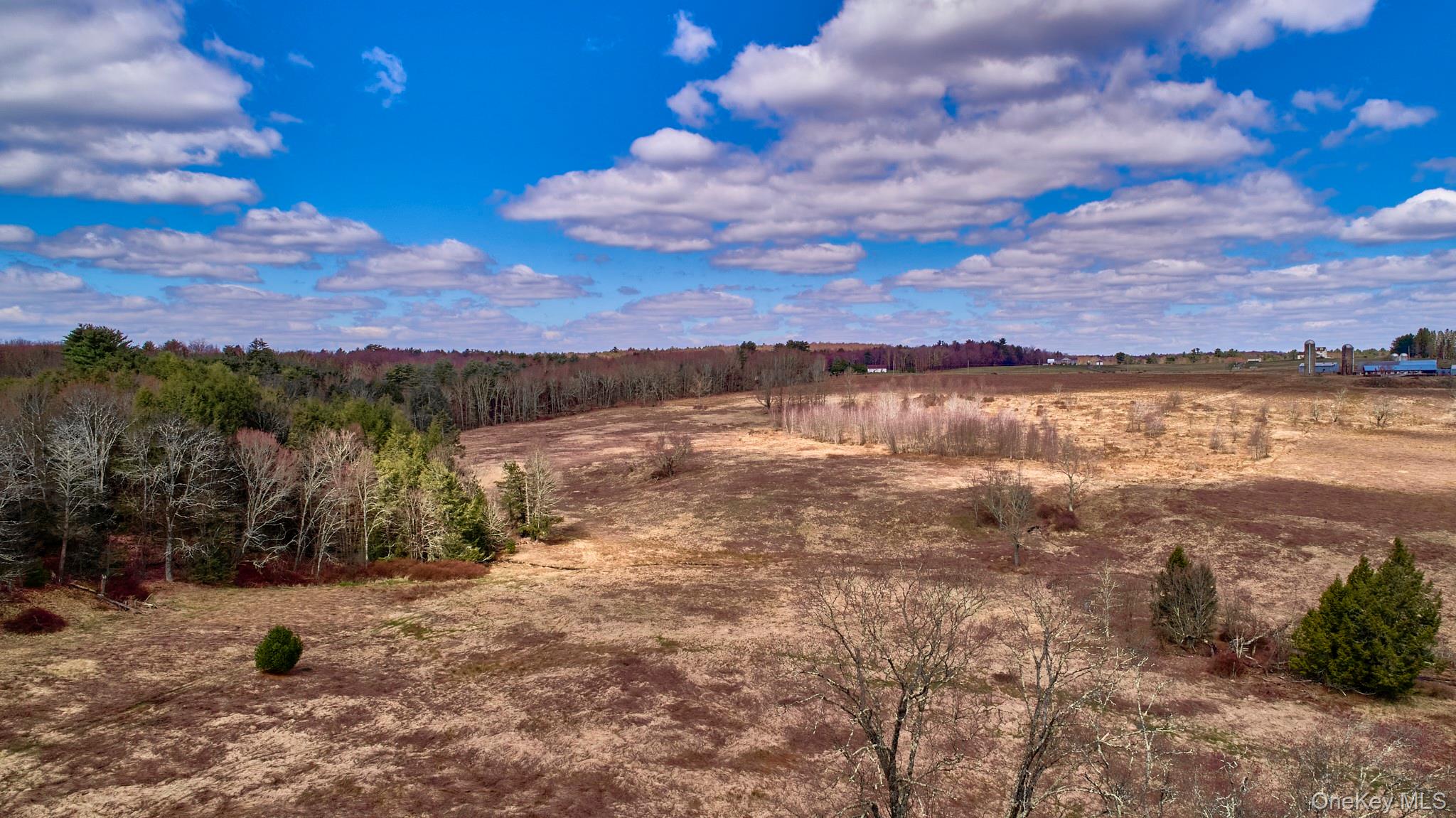 Lot 17.9 Shortcut Road, Cochecton, NY 12726