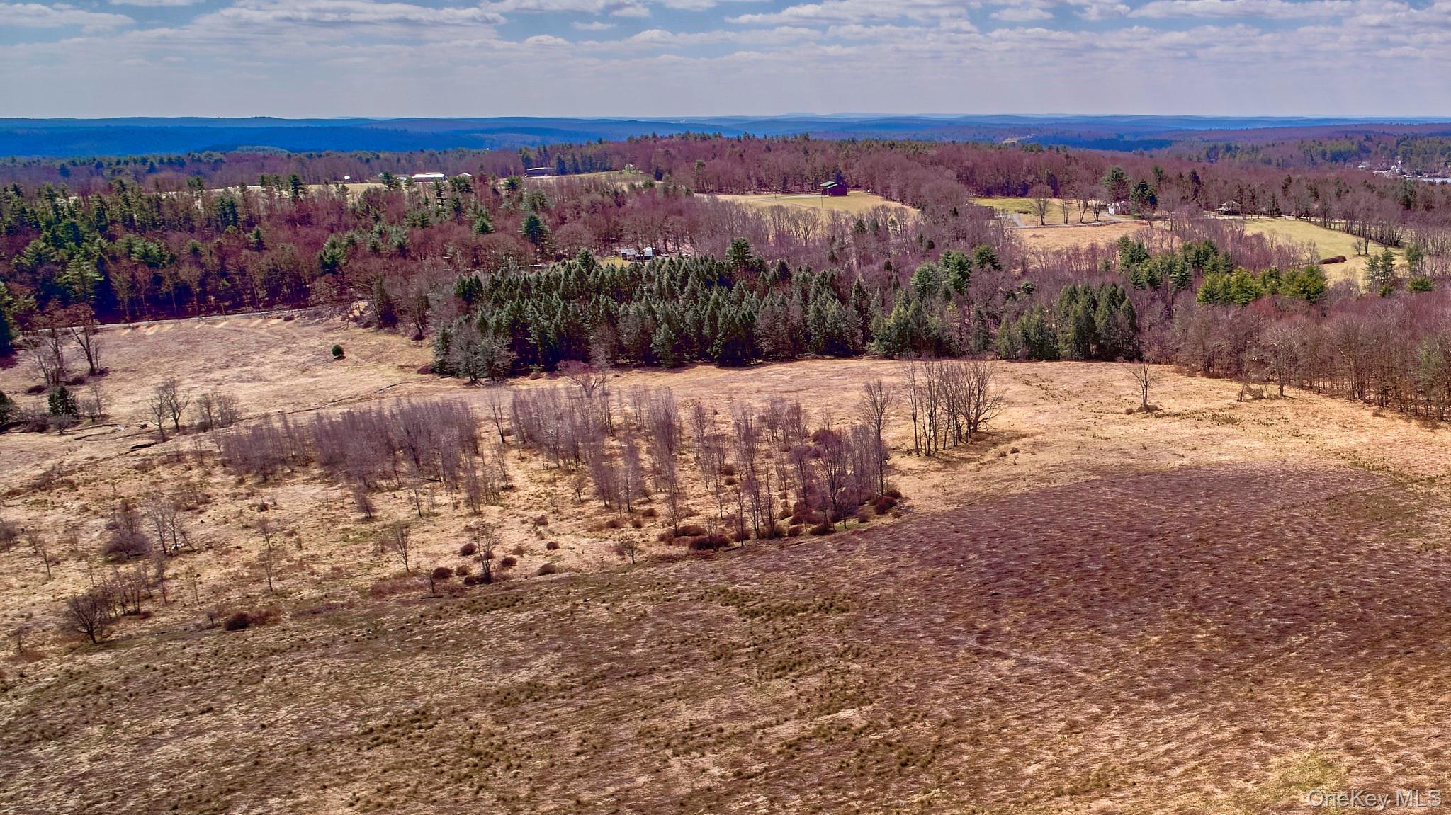 Lot 17.9 Shortcut Road, Cochecton, NY 12726