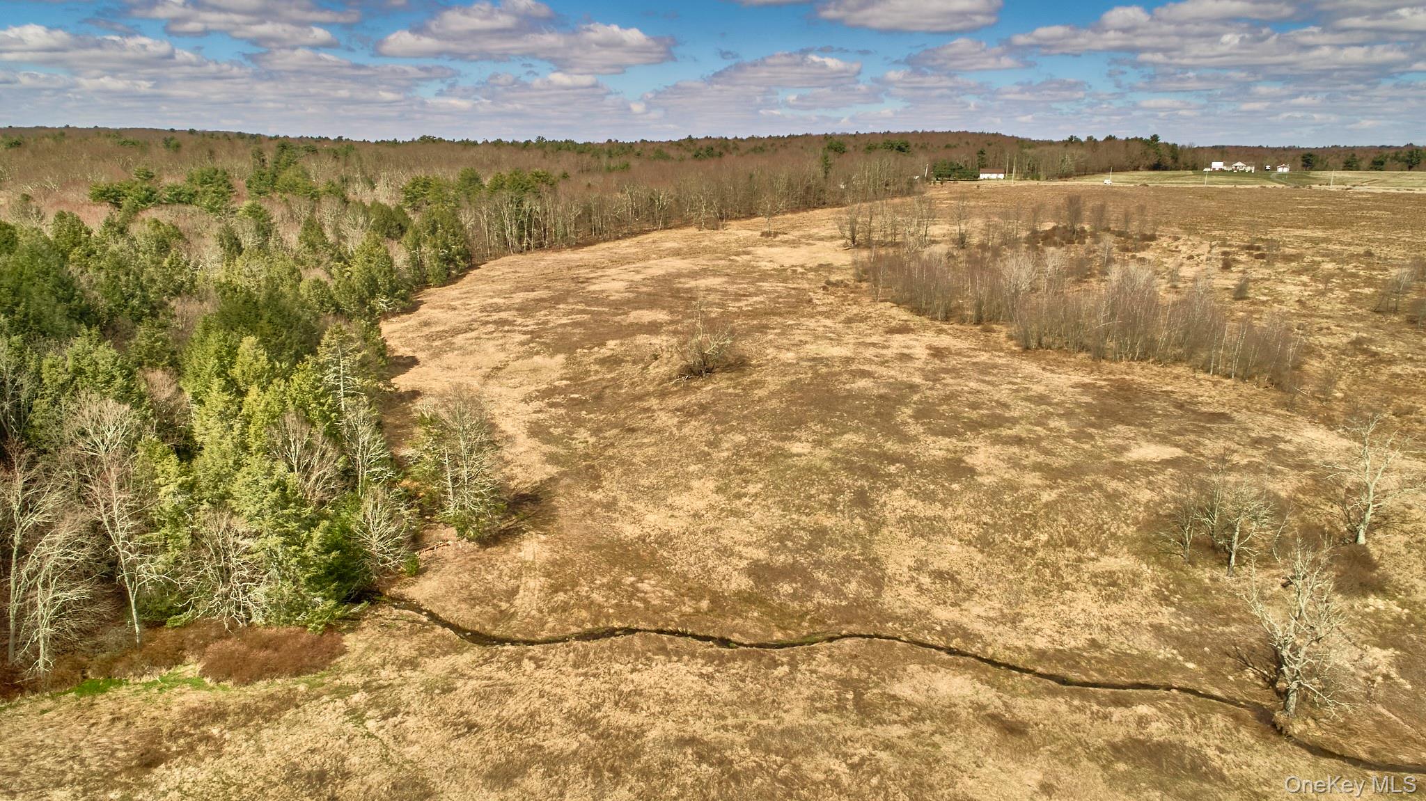 Lot 17.9 Shortcut Road, Cochecton, NY 12726