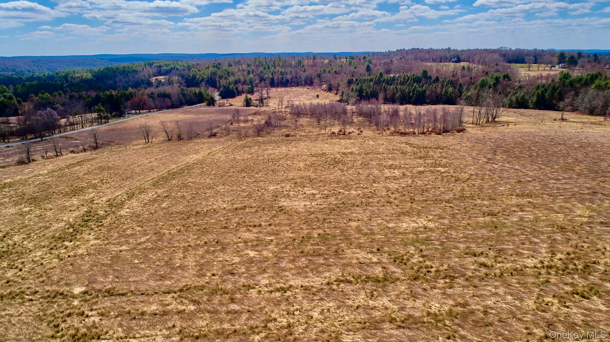 Lot 17.9 Shortcut Road, Cochecton, NY 12726