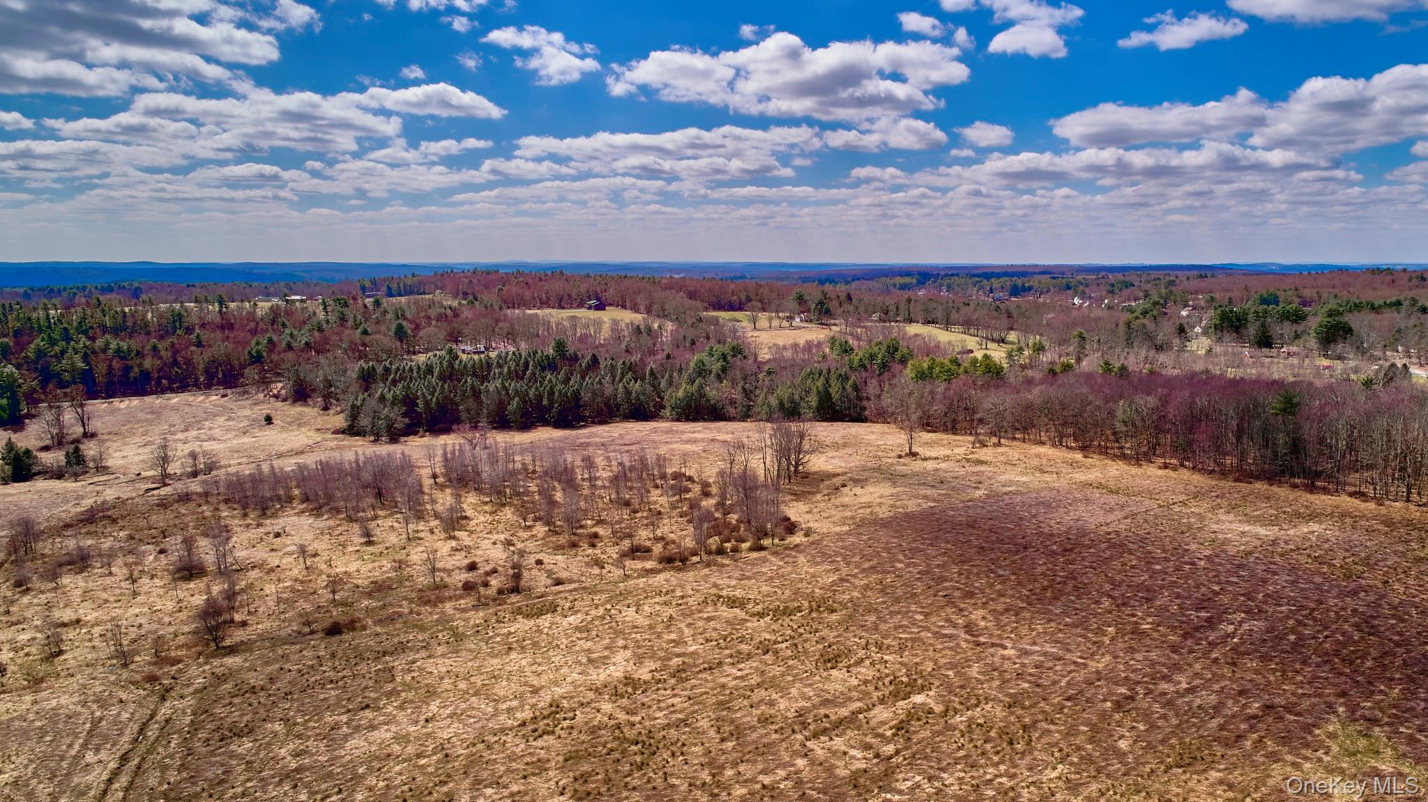 Lot 17.9 Shortcut Road, Cochecton, NY 12726