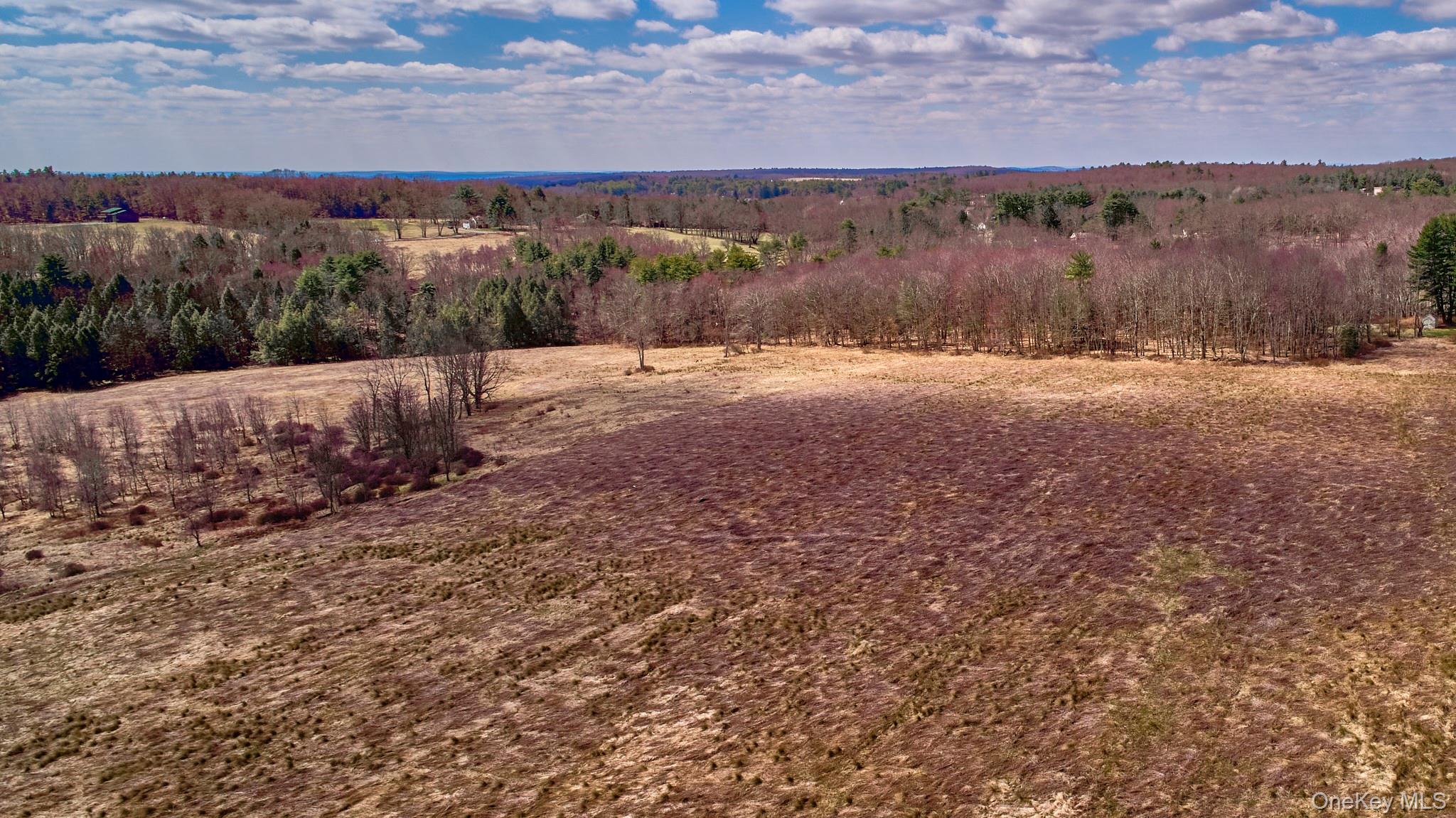 Lot 17.9 Shortcut Road, Cochecton, NY 12726