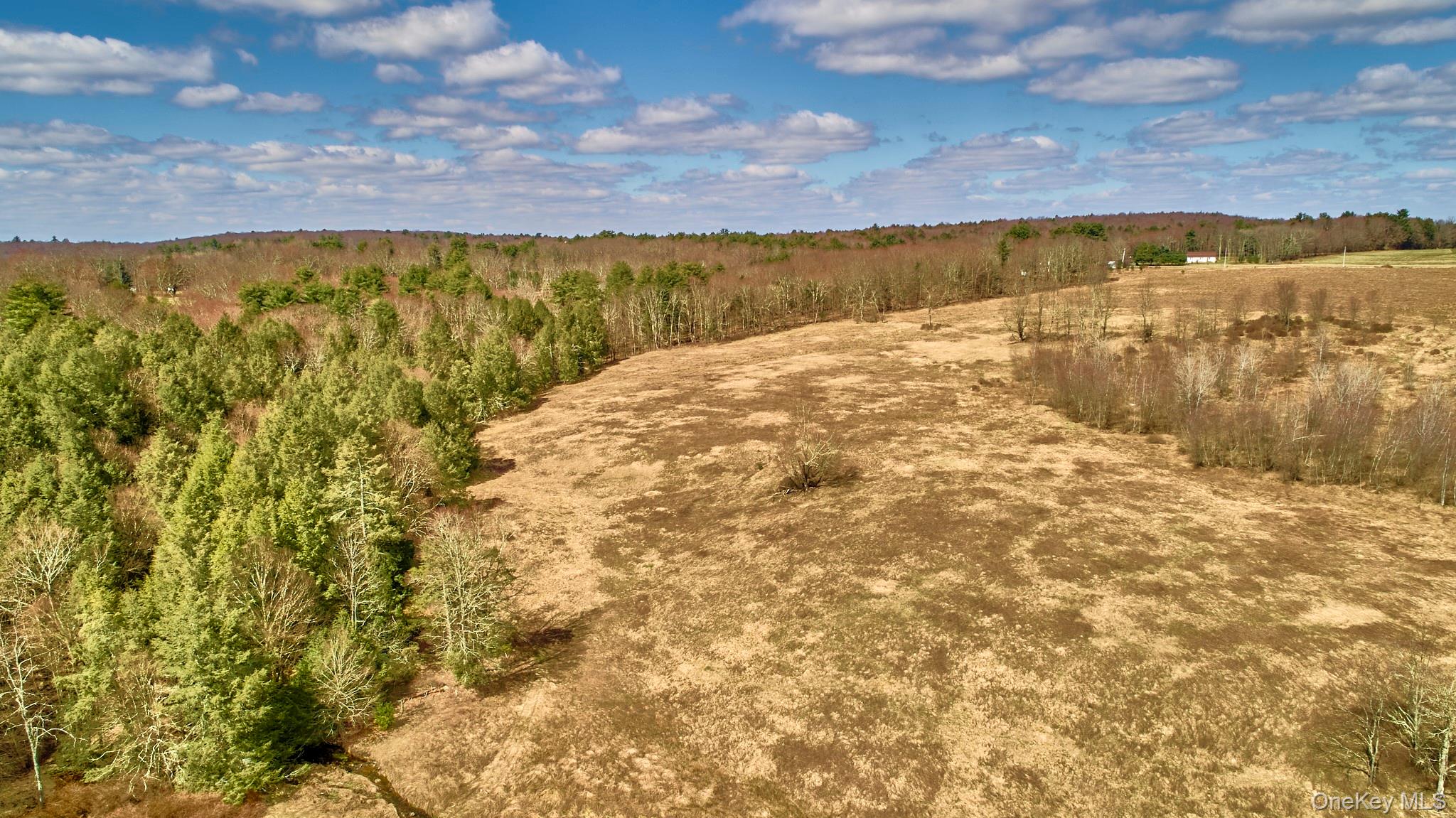 Lot 17.9 Shortcut Road, Cochecton, NY 12726