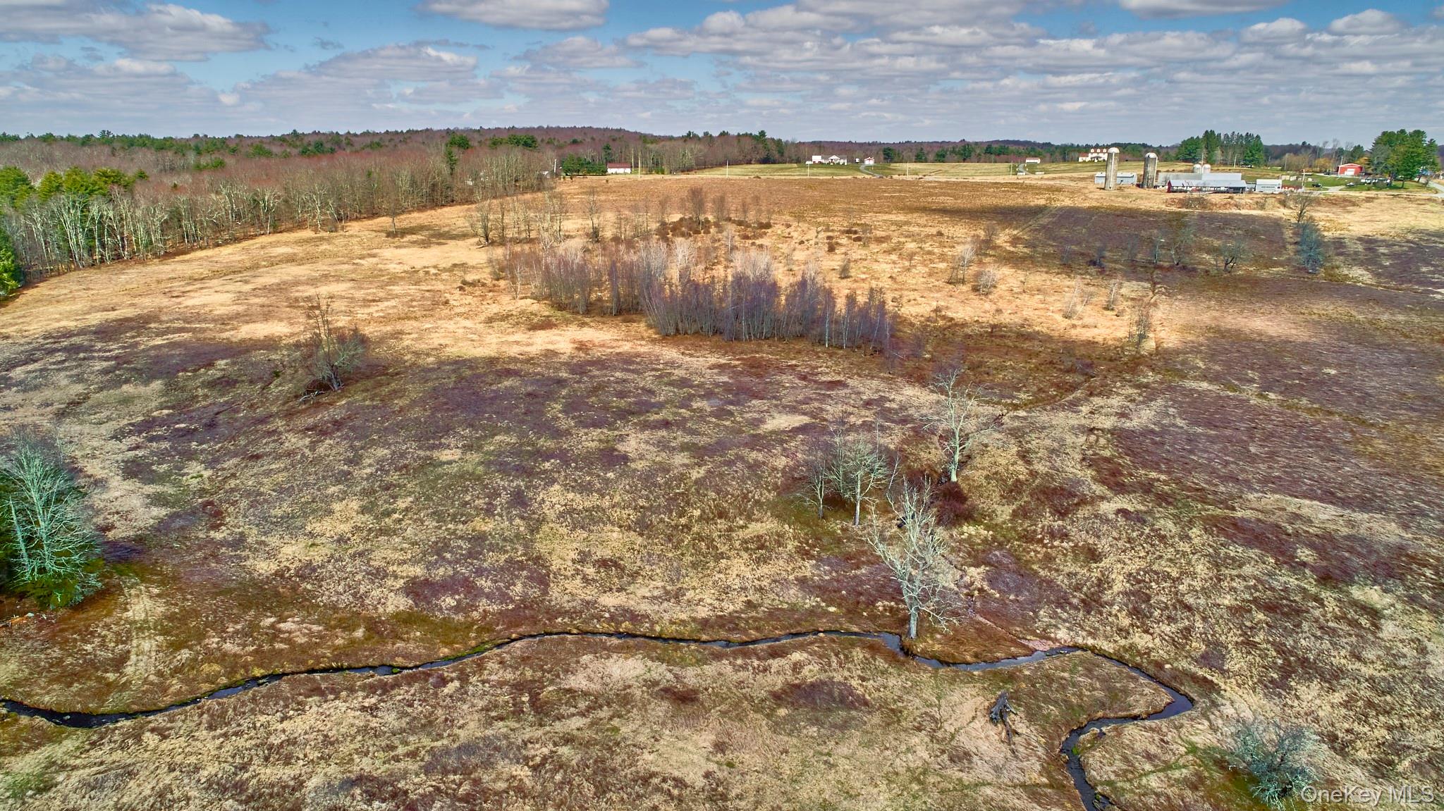 Lot 17.9 Shortcut Road, Cochecton, NY 12726