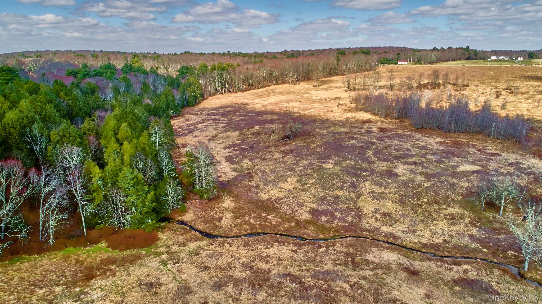 Lot 17.9 Shortcut Road, Cochecton, NY 12726