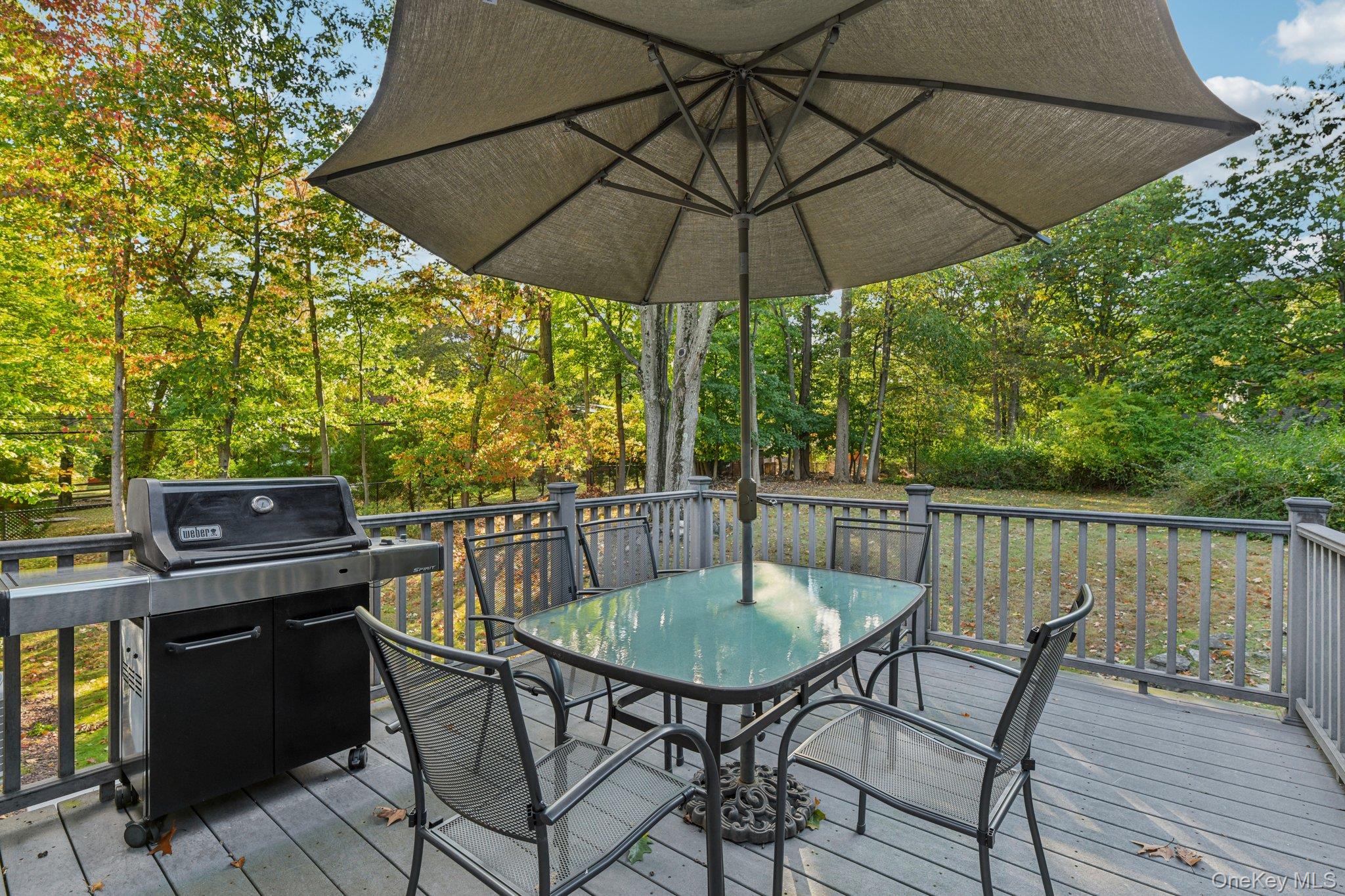 203 Hilltop Drive, Nyack, NY 10960