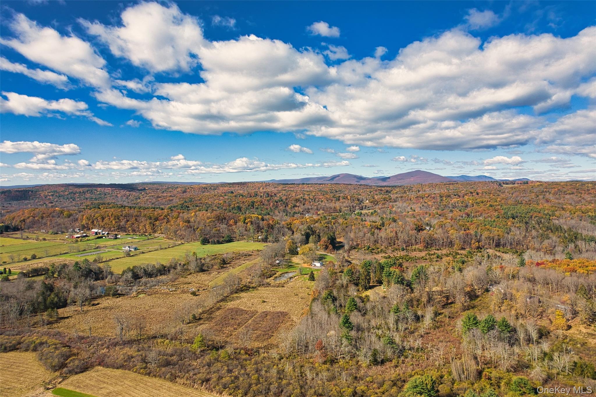 315 Pine Bush Road, Stone Ridge, NY 12484