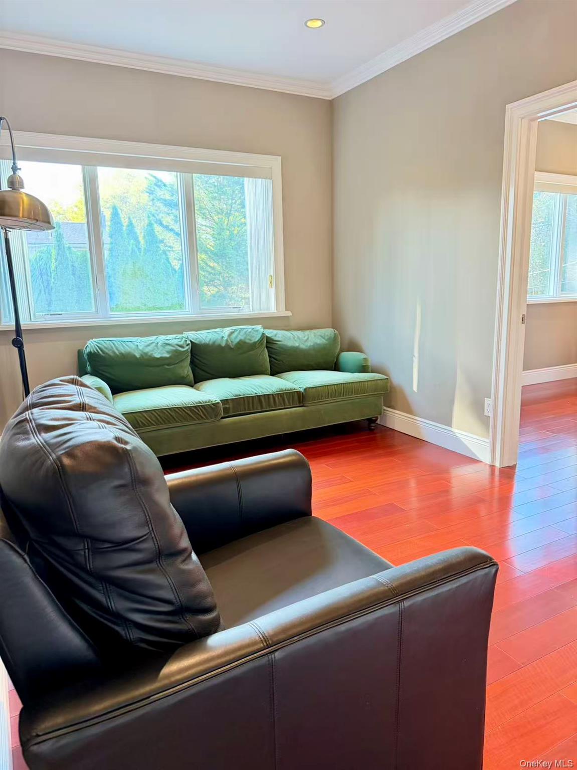 17 Livingston Avenue, Jericho, NY 11753