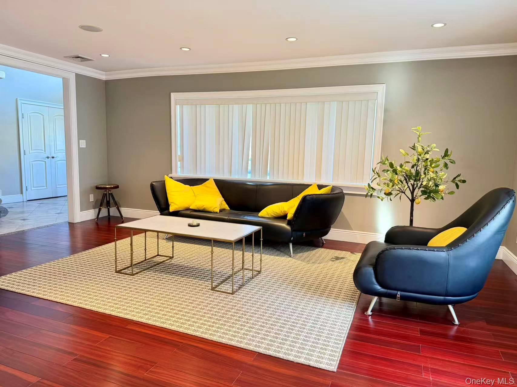 17 Livingston Avenue, Jericho, NY 11753