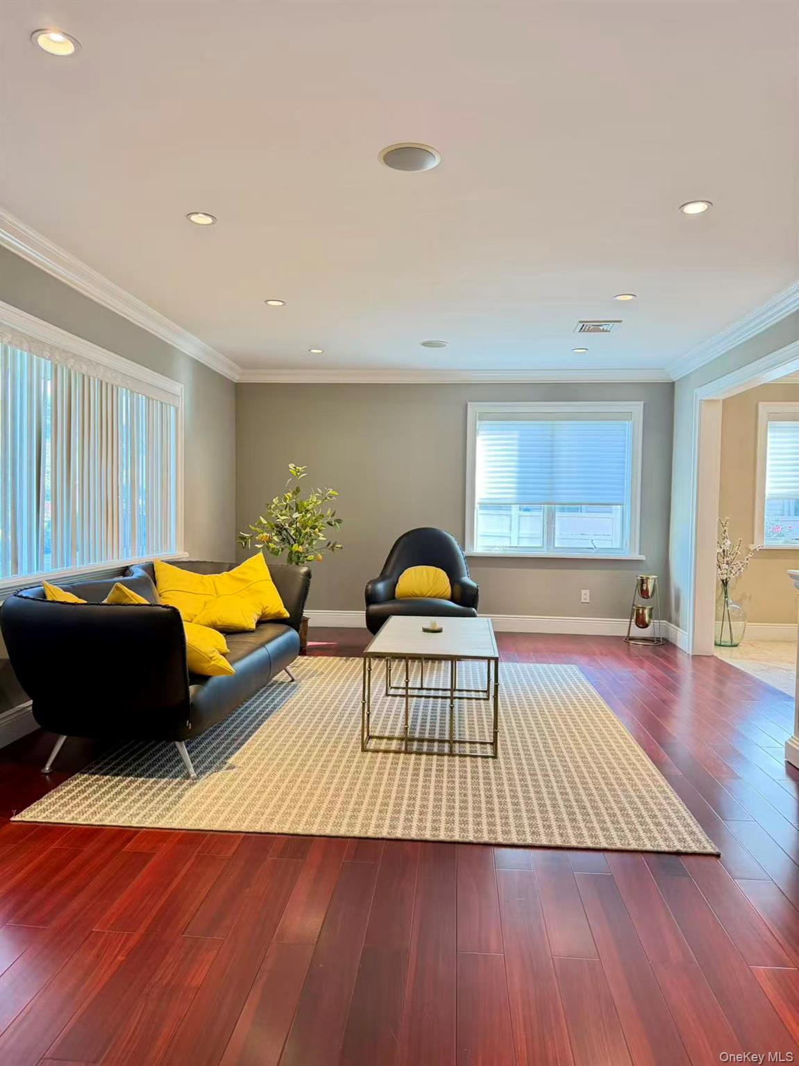 17 Livingston Avenue, Jericho, NY 11753