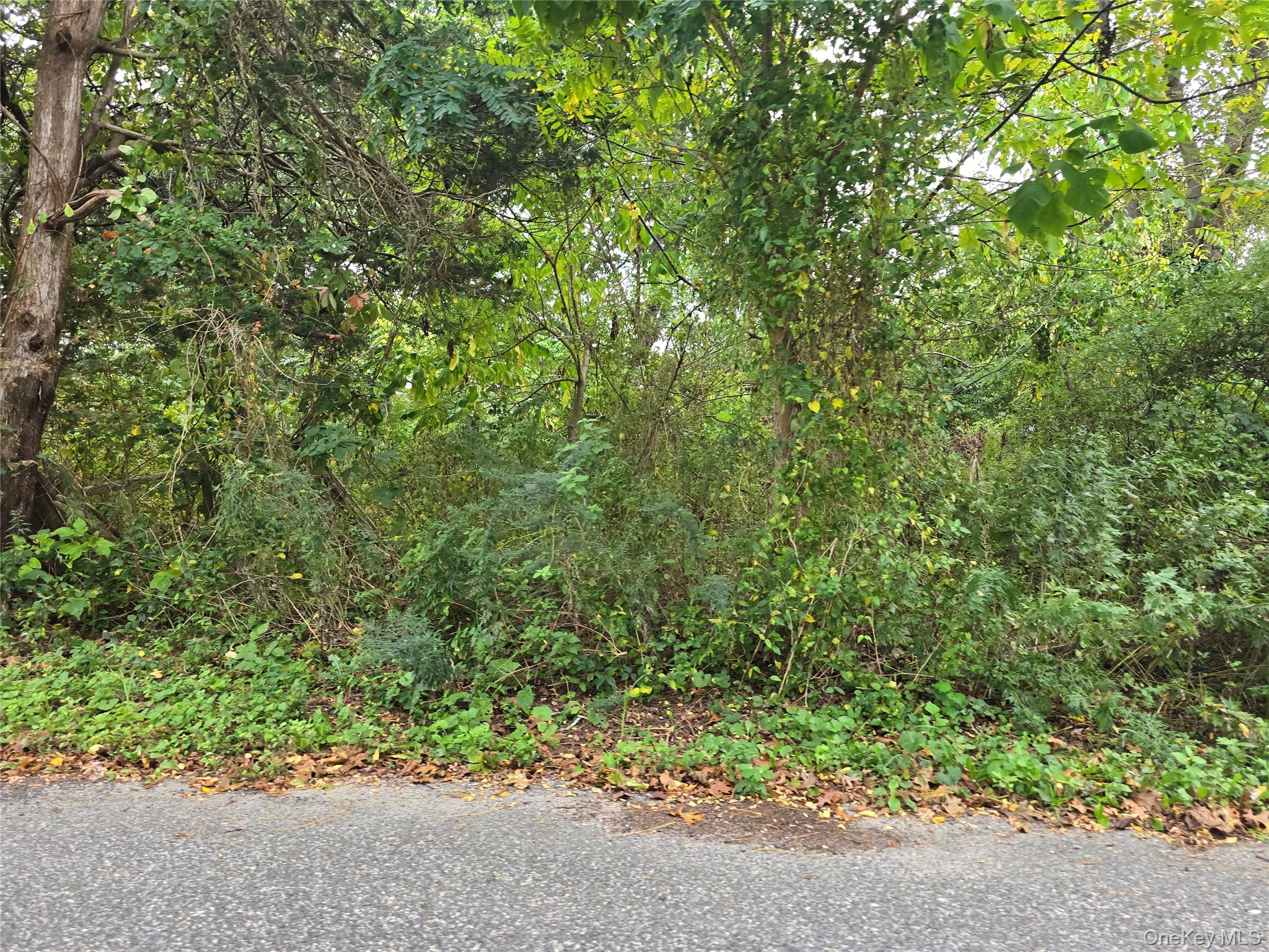 78 Lakeview Drive, Mastic Beach, NY 11951