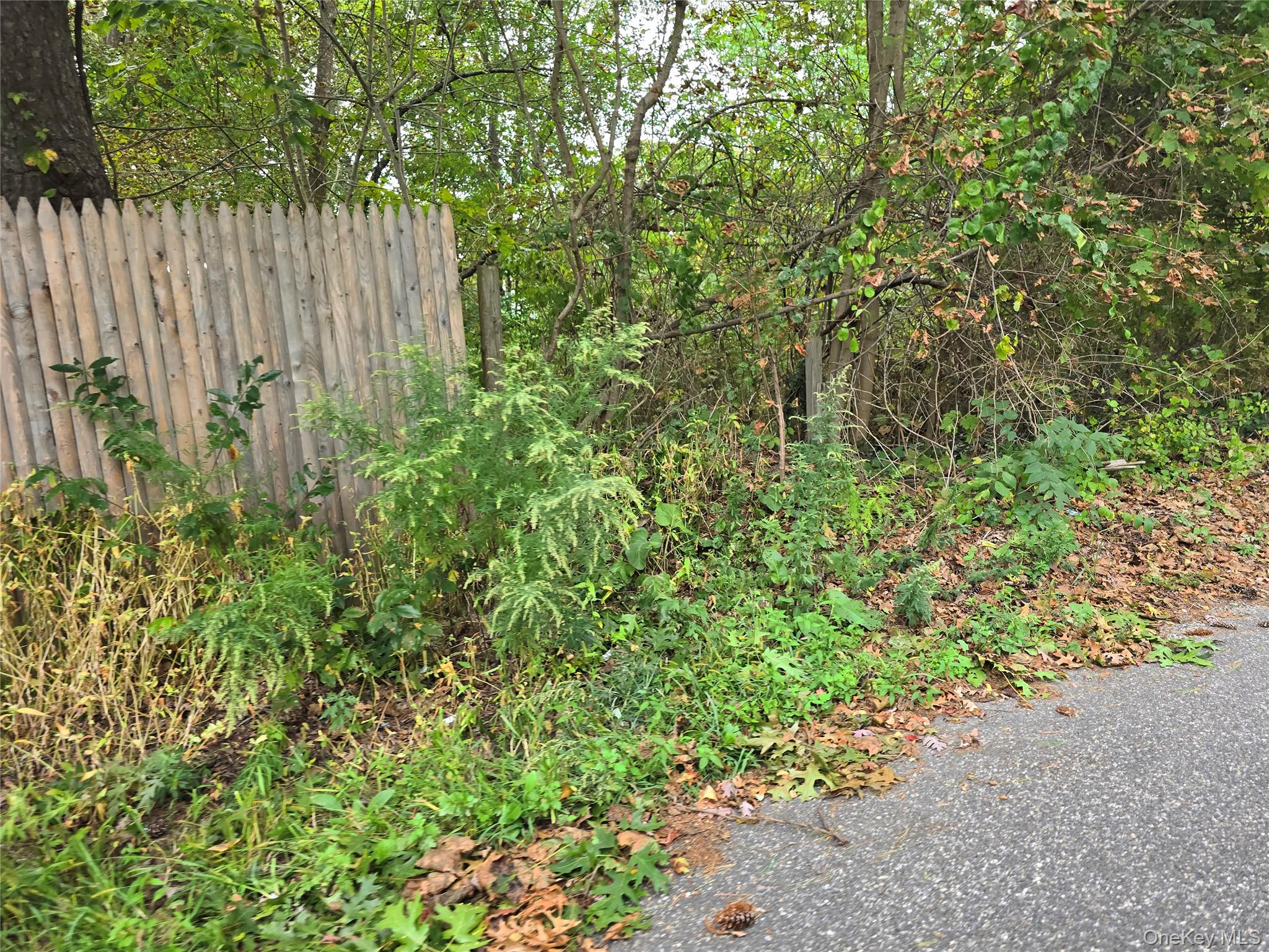 78 Lakeview Drive, Mastic Beach, NY 11951