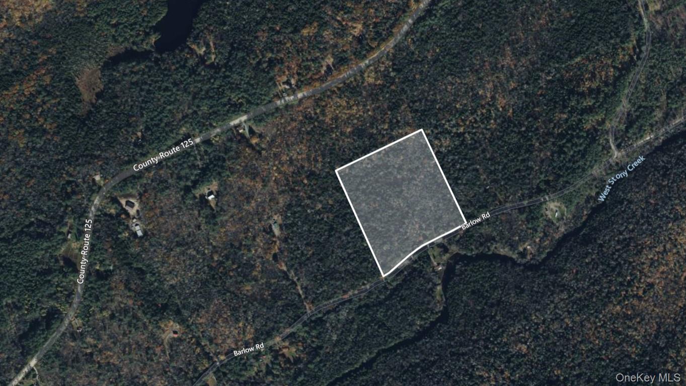 L42 Barlow Road, Call Listing Agent, NY 12078