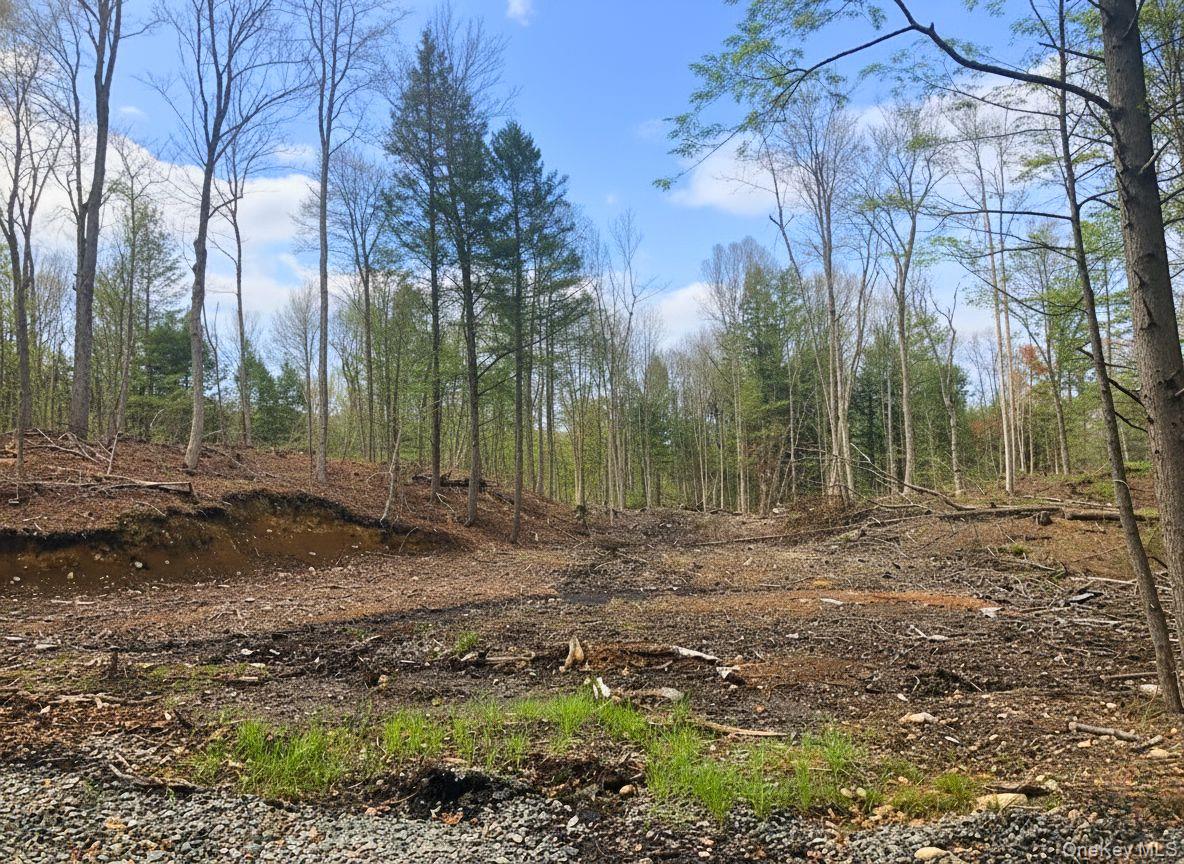 L42 Barlow Road, Call Listing Agent, NY 12078