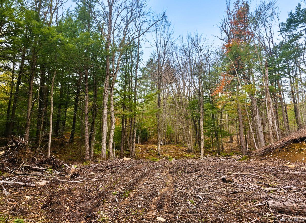 L42 Barlow Road, Call Listing Agent, NY 12078