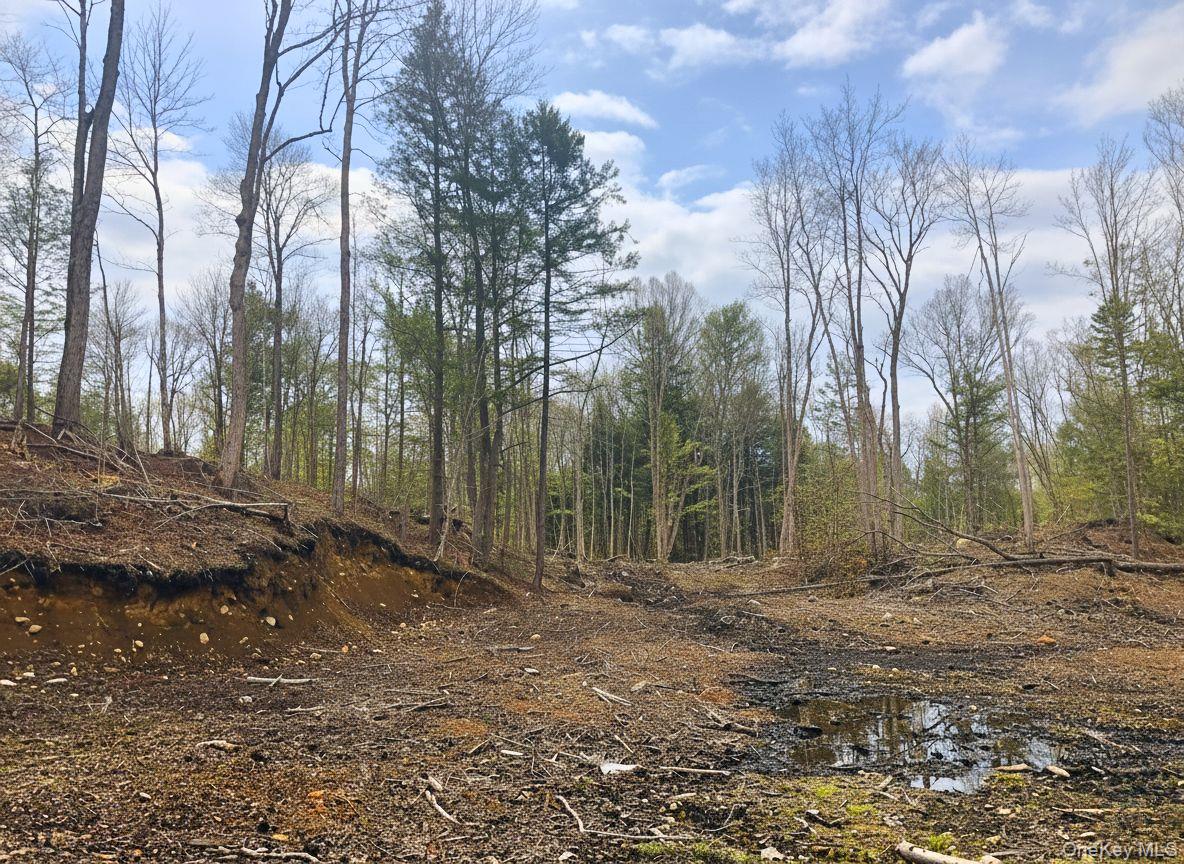 L42 Barlow Road, Call Listing Agent, NY 12078