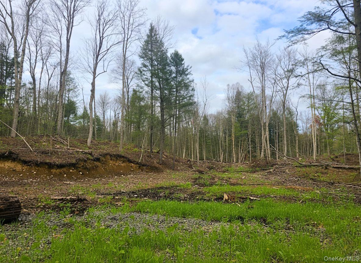 L42 Barlow Road, Call Listing Agent, NY 12078