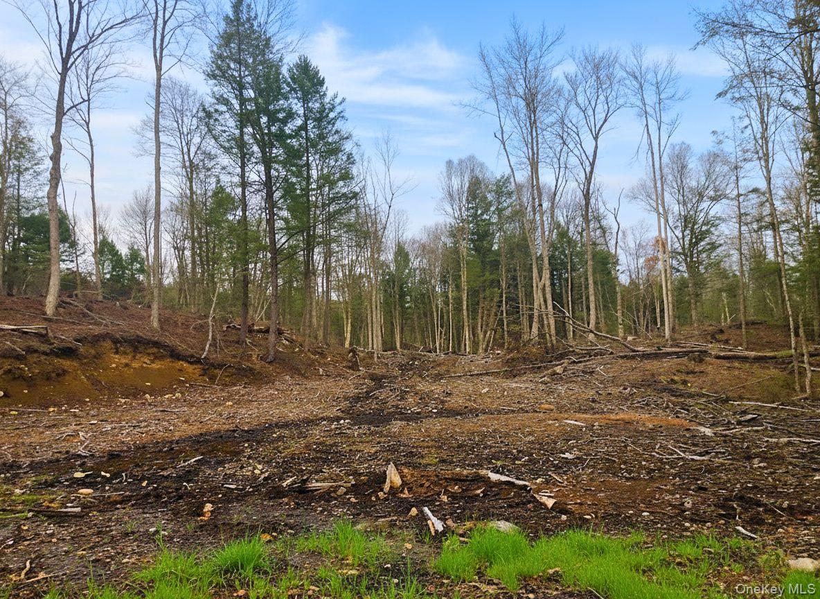 L42 Barlow Road, Call Listing Agent, NY 12078