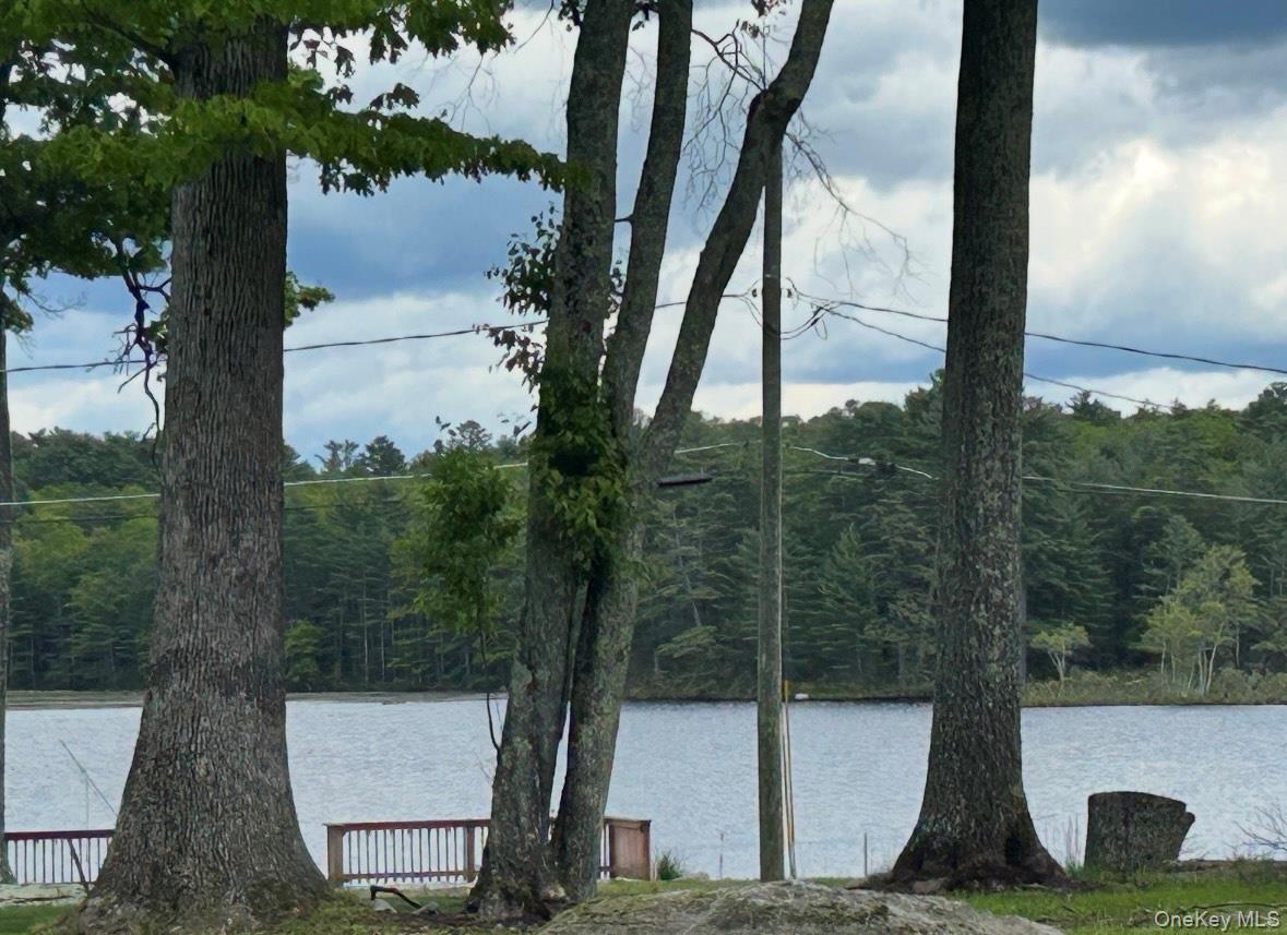 177 Mohican Trail, Glen Spey, NY 12737