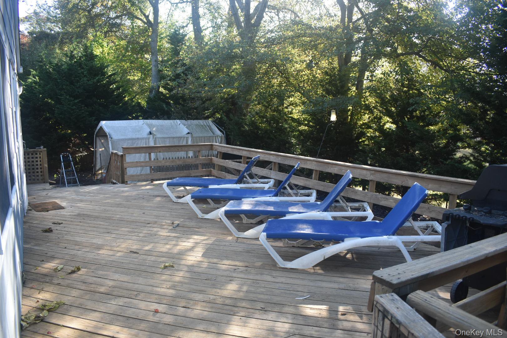 53 Magnolia Drive, Mastic Beach, NY 11951