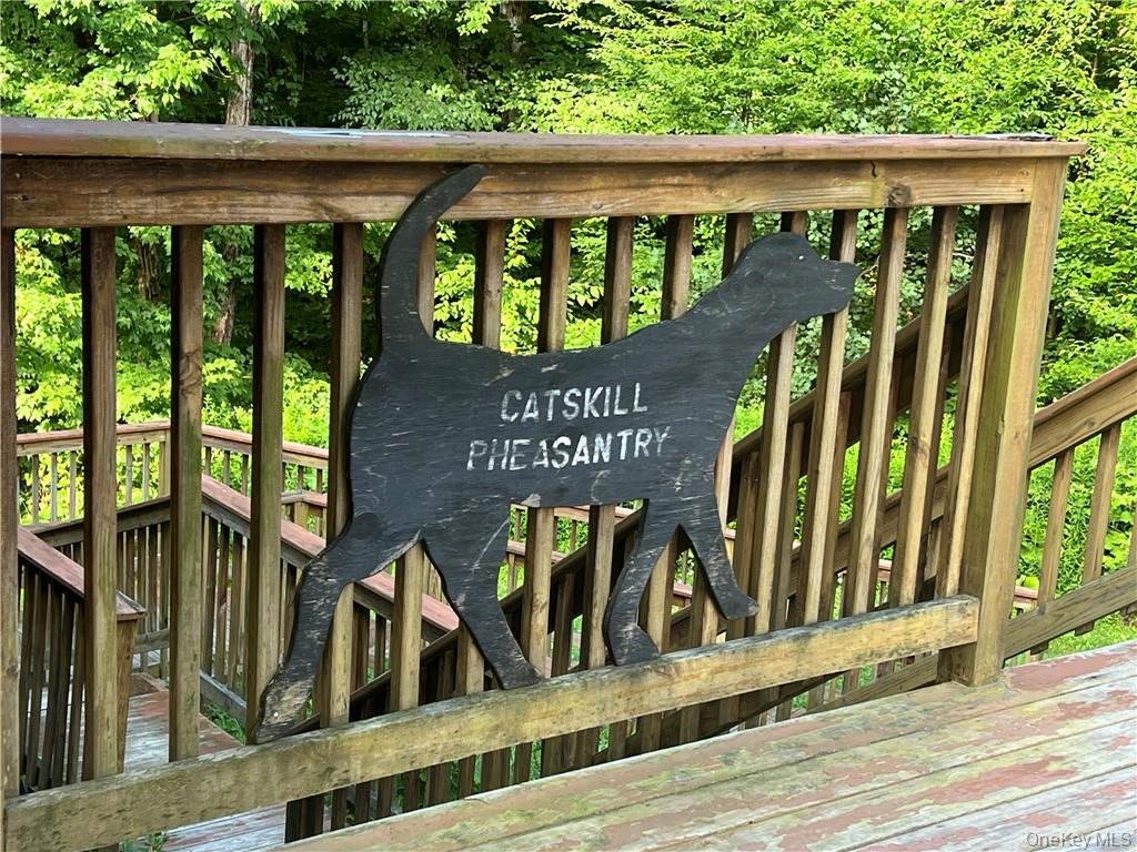 374 Neer Road, Long Eddy, NY 12760